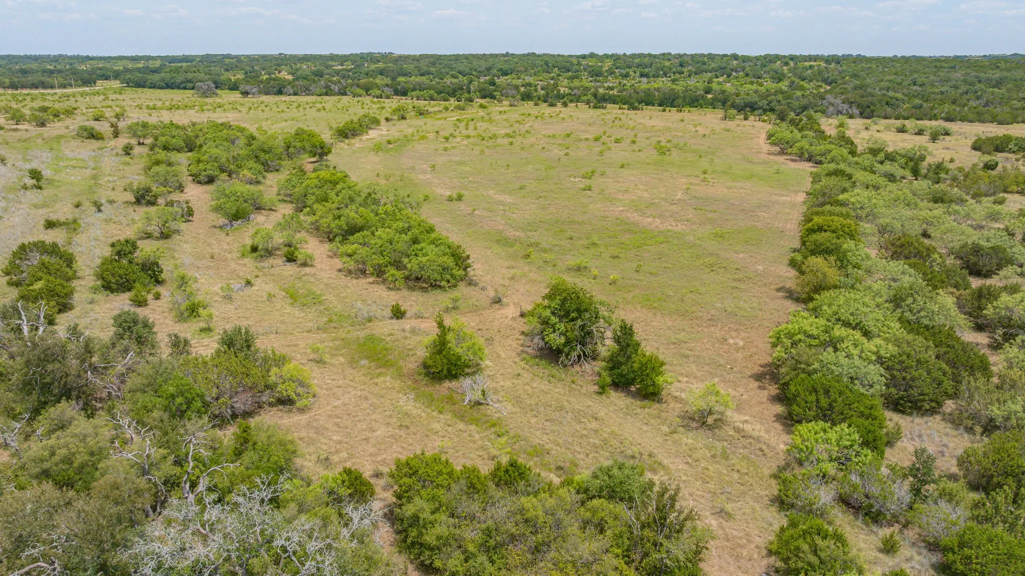 Expansive rural landscape featuring a cleared field and abundant natural tree lines