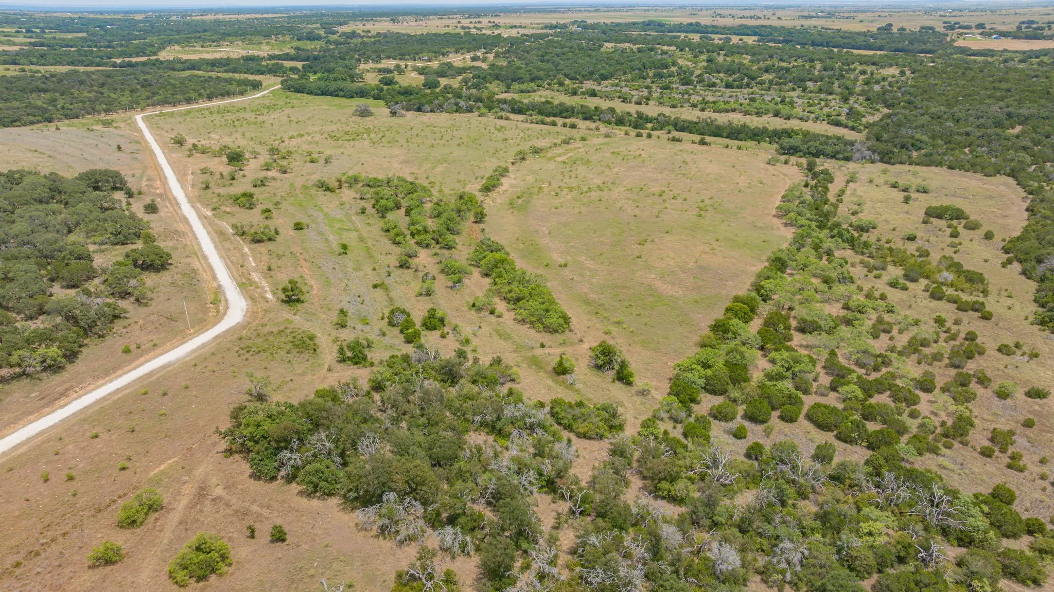 Expansive acreage featuring a winding unpaved road, diverse vegetation, open pastureland, and scattered trees