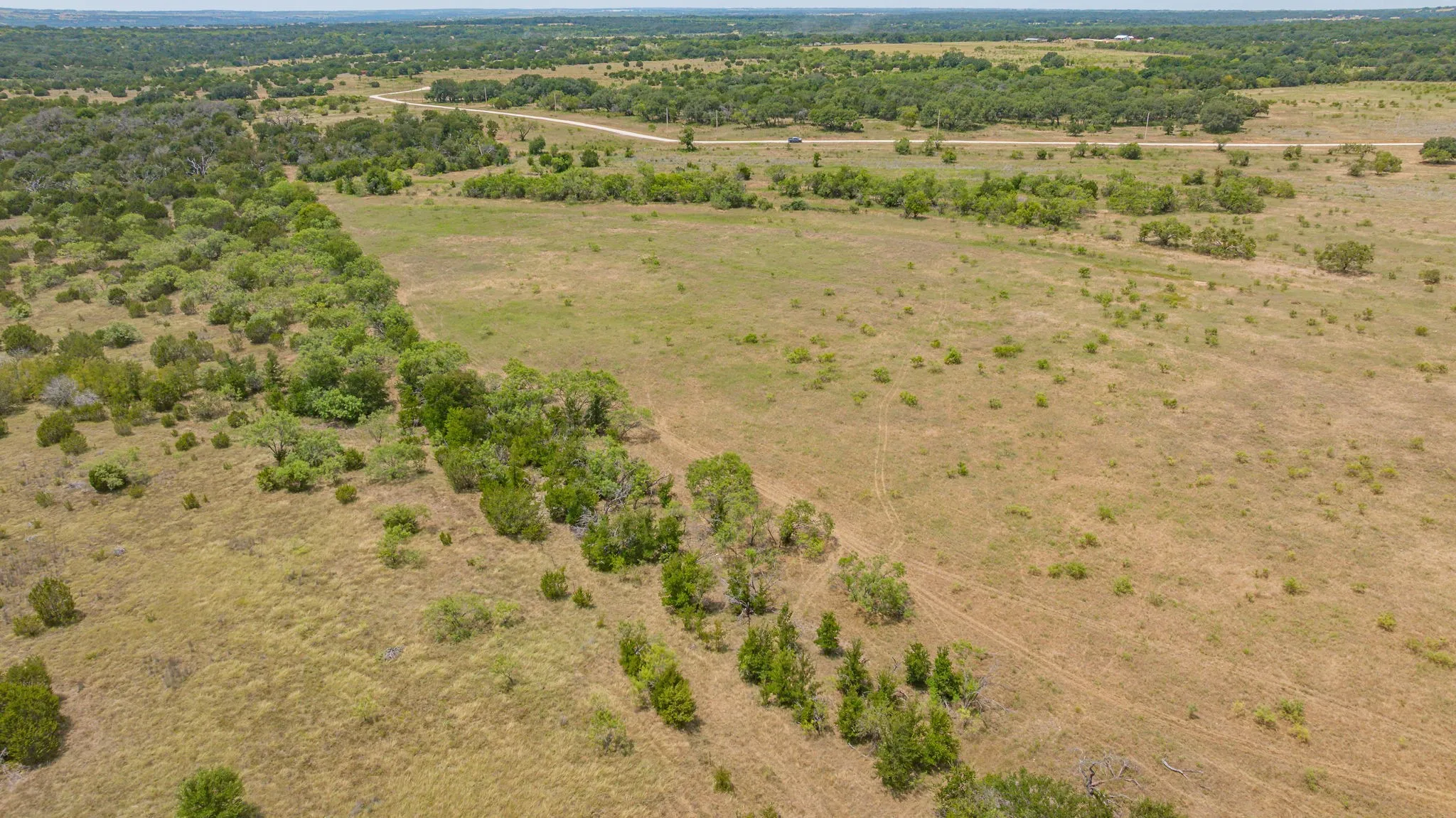 Expansive open land with scattered tree lines and natural vegetation