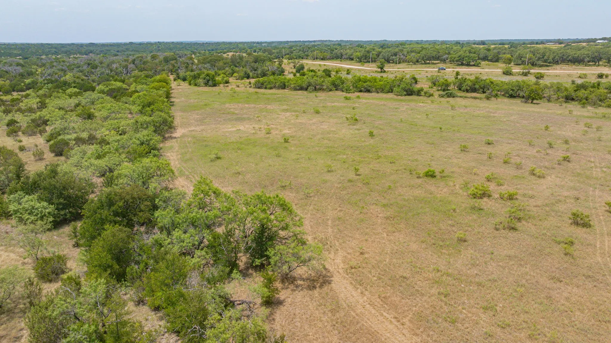 Expansive open acreage featuring a clear boundary line, a mix of mature trees and open grassland, and distant wooded areas under a broad sky
