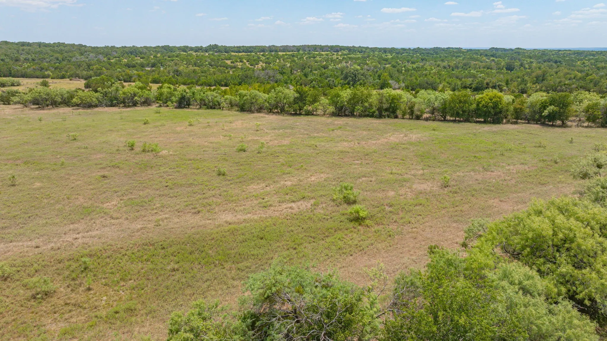 Expansive pastoral acreage featuring open grassland with scattered native vegetation and mature tree lines bordering the property