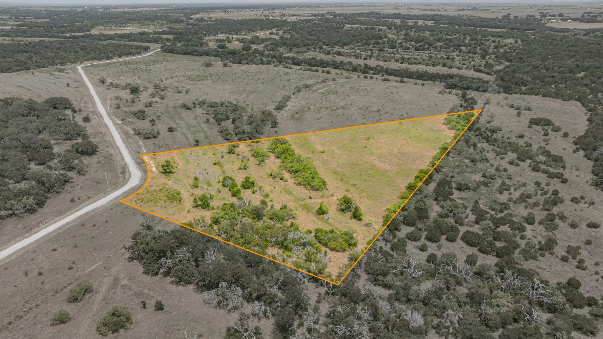 Expansive land parcel featuring a dirt road border and varied natural foliage