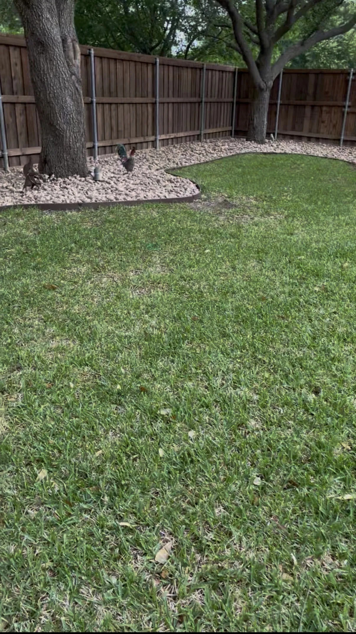 Single Family Residence For Rent in Collin County , 1004 Royal Oaks Drive, Mc Kinney, Texas 75072, 4 Bedroom, 2 Bathroom, 2 Garage spaces, 2,170 Sqft, built in 2002, mls#21351535, Real Estate Agent in Mc Kinney, Homes For Rent in Collin county, Homes For Rent in Mc Kinney, Realtor in Mc Kinney Texas, Real Estate Brokerage Independent Realty Texas, Luminita Cordes Realtor
