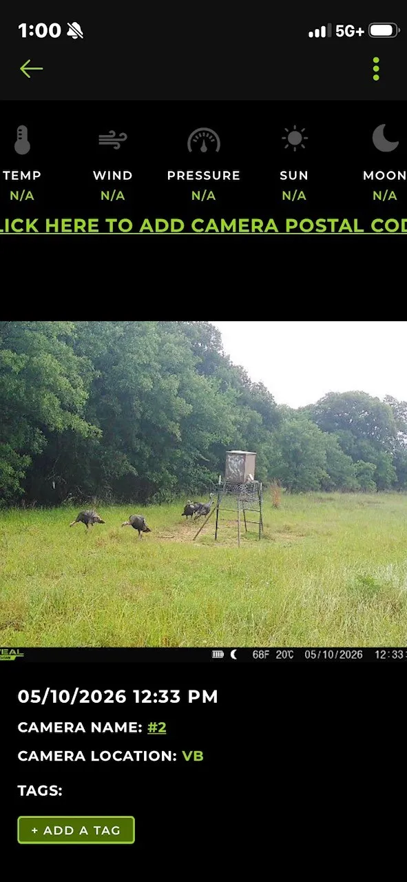 Ranch For Sale in Cooke County , TBD County Road 104, Whitesboro, Texas 76273, 0, 0, Garage spaces, 0 Sqft, built in 0, Price $579,000, mls#21351324, Real Estate Agent in Whitesboro, Homes For Sale in Cooke county, Homes For Sale in Whitesboro, Realtor in Whitesboro Texas, Real Estate Brokerage Independent Realty Texas, Luminita Cordes Realtor