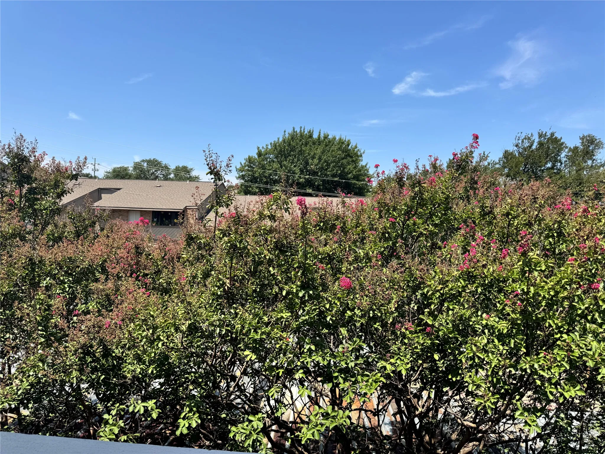 Condominium For Rent in Dallas County , 8601 Park Lane 732, Dallas, Texas 75231, 1 Bedroom, 1 Bathroom, Garage spaces, 794 Sqft, built in 1982, mls#21351598, Real Estate Agent in Dallas, Homes For Rent in Dallas county, Homes For Rent in Dallas, Realtor in Dallas Texas, Real Estate Brokerage Independent Realty Texas, Luminita Cordes Realtor