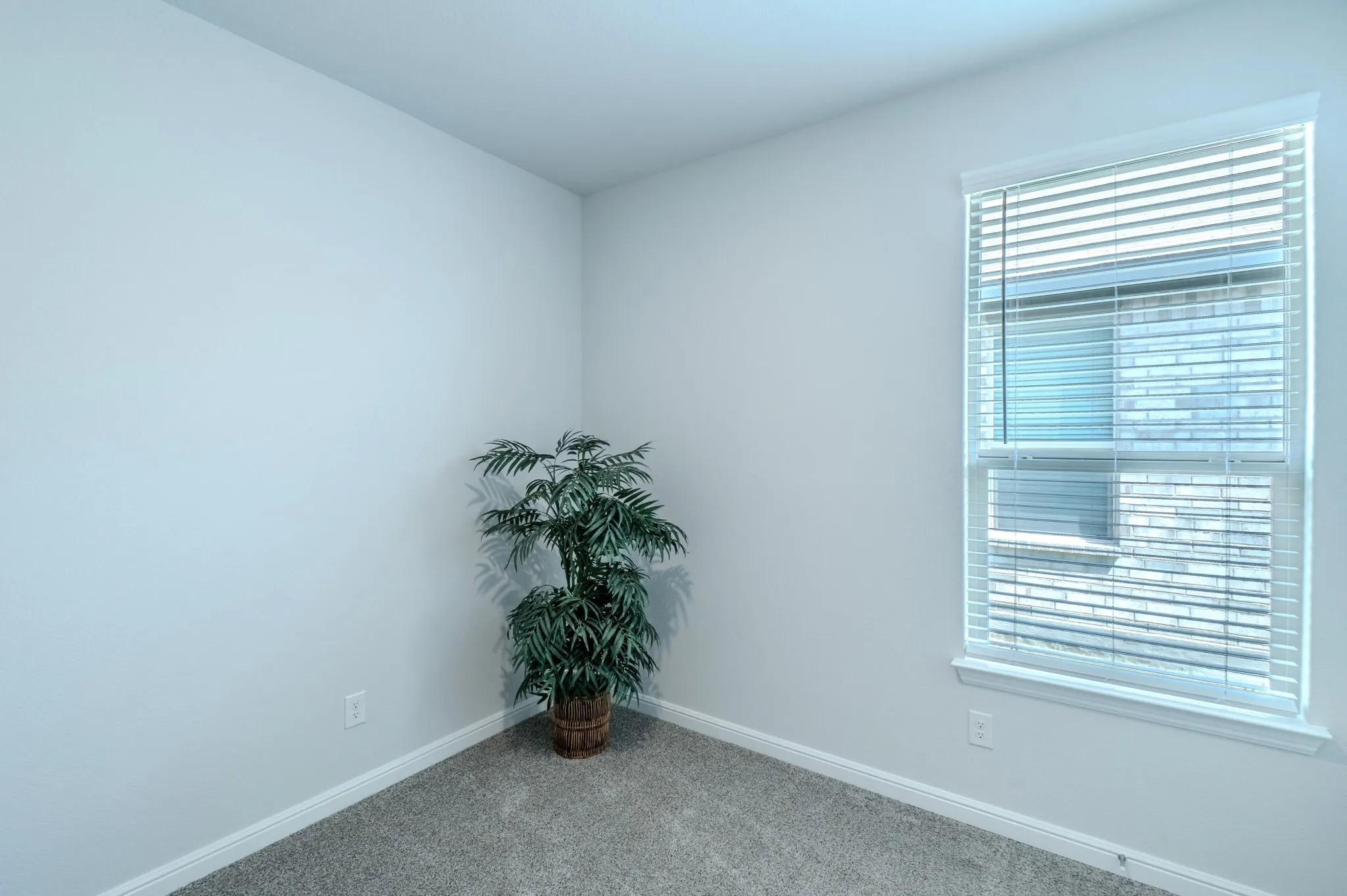 Bright room with a single window, white window blinds, and light gray wall paint