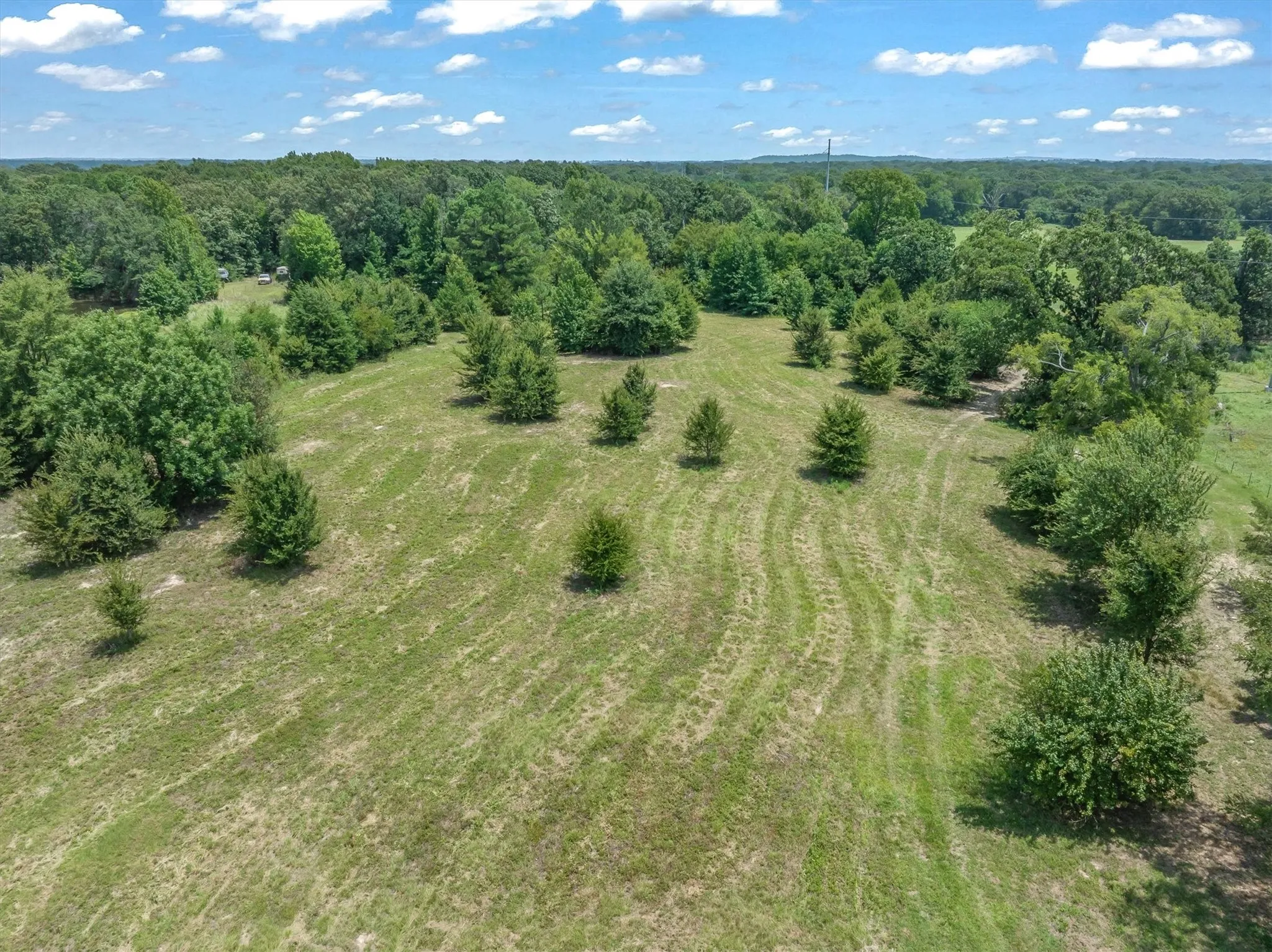 Unimproved Land For Sale in Henderson County , 000 County Road 3520, Brownsboro, Texas 75756, 0, 0, Garage spaces, 0 Sqft, built in 0, Price $275,000, mls#21351020, Real Estate Agent in Brownsboro, Homes For Sale in Henderson county, Homes For Sale in Brownsboro, Realtor in Brownsboro Texas, Real Estate Brokerage Independent Realty Texas, Luminita Cordes Realtor