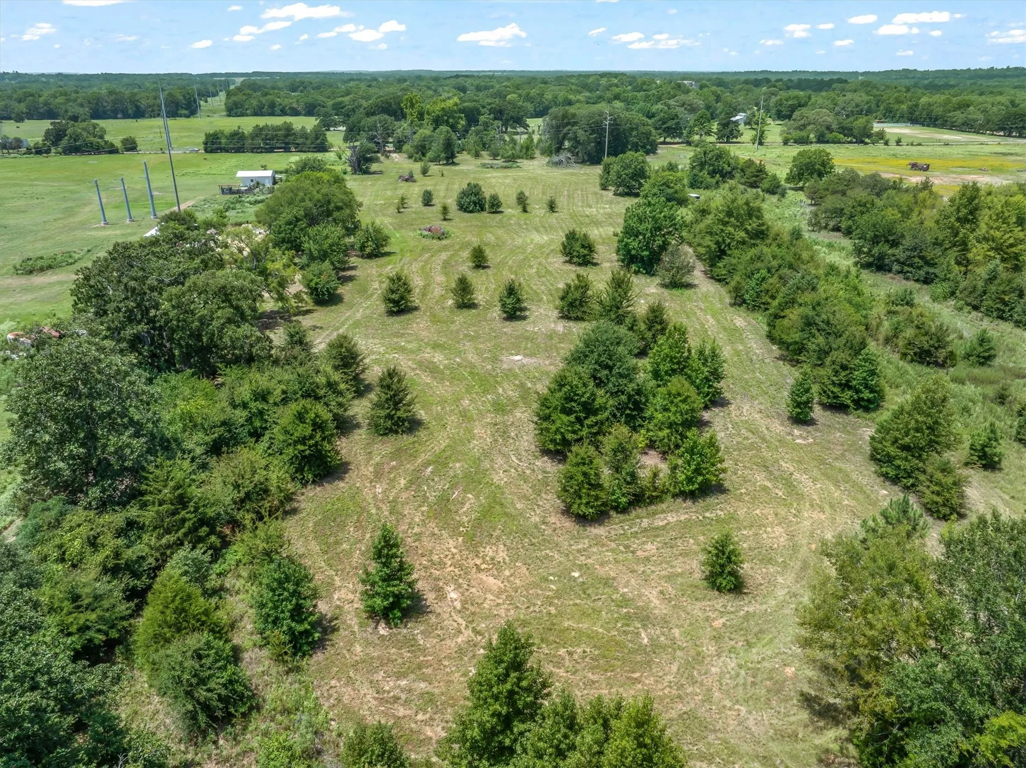 Unimproved Land For Sale in Henderson County , 000 County Road 3520, Brownsboro, Texas 75756, 0, 0, Garage spaces, 0 Sqft, built in 0, Price $275,000, mls#21351020, Real Estate Agent in Brownsboro, Homes For Sale in Henderson county, Homes For Sale in Brownsboro, Realtor in Brownsboro Texas, Real Estate Brokerage Independent Realty Texas, Luminita Cordes Realtor