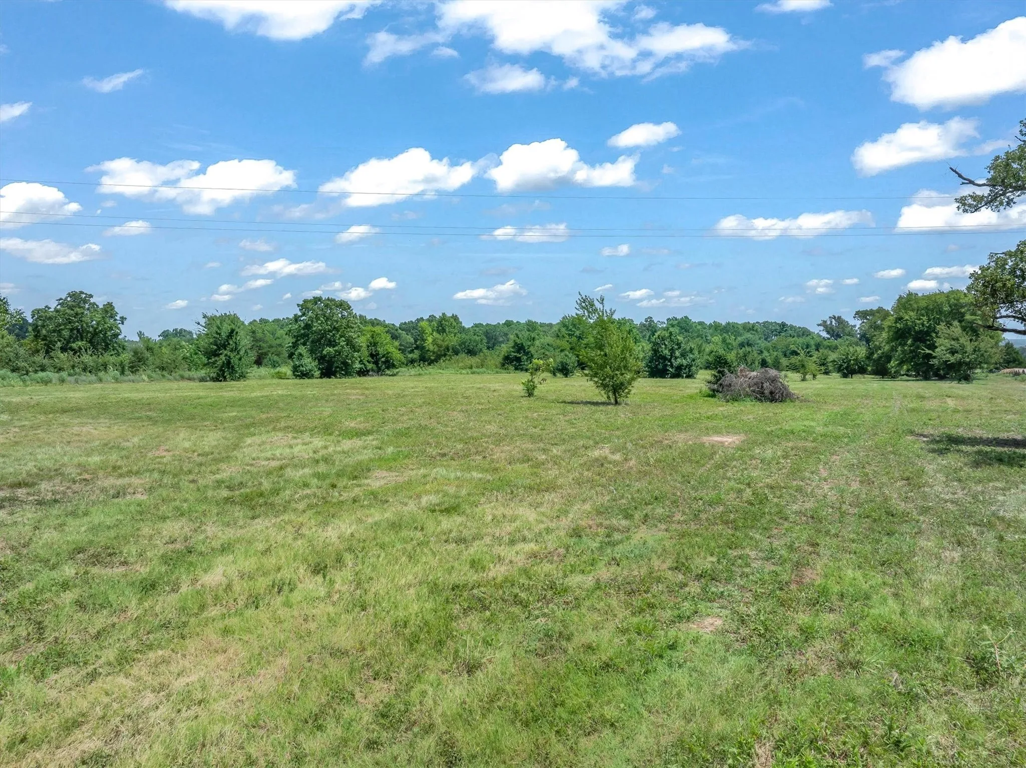 Unimproved Land For Sale in Henderson County , 000 County Road 3520, Brownsboro, Texas 75756, 0, 0, Garage spaces, 0 Sqft, built in 0, Price $275,000, mls#21351020, Real Estate Agent in Brownsboro, Homes For Sale in Henderson county, Homes For Sale in Brownsboro, Realtor in Brownsboro Texas, Real Estate Brokerage Independent Realty Texas, Luminita Cordes Realtor