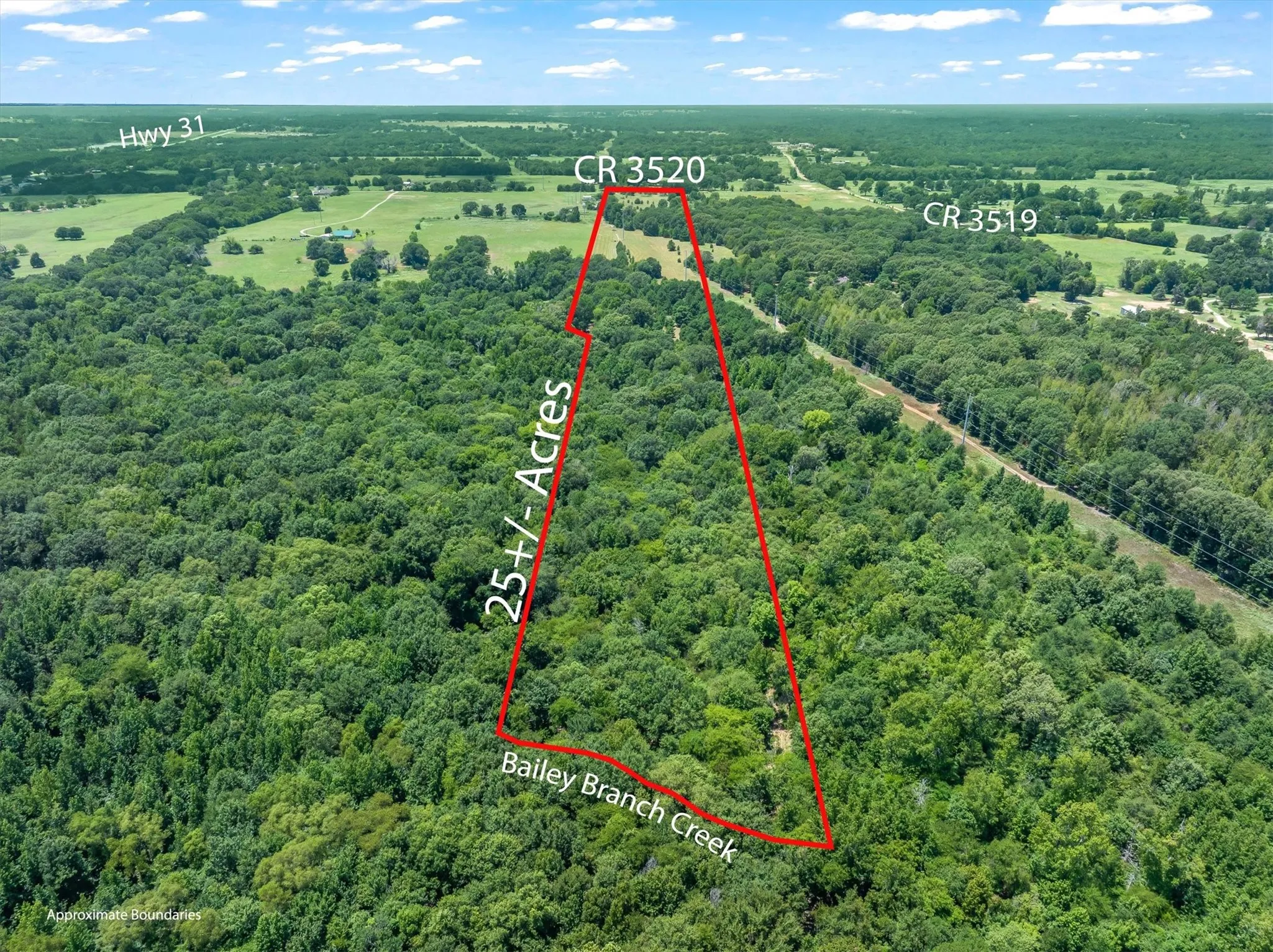 Unimproved Land For Sale in Henderson County , 000 County Road 3520, Brownsboro, Texas 75756, 0, 0, Garage spaces, 0 Sqft, built in 0, Price $275,000, mls#21351020, Real Estate Agent in Brownsboro, Homes For Sale in Henderson county, Homes For Sale in Brownsboro, Realtor in Brownsboro Texas, Real Estate Brokerage Independent Realty Texas, Luminita Cordes Realtor