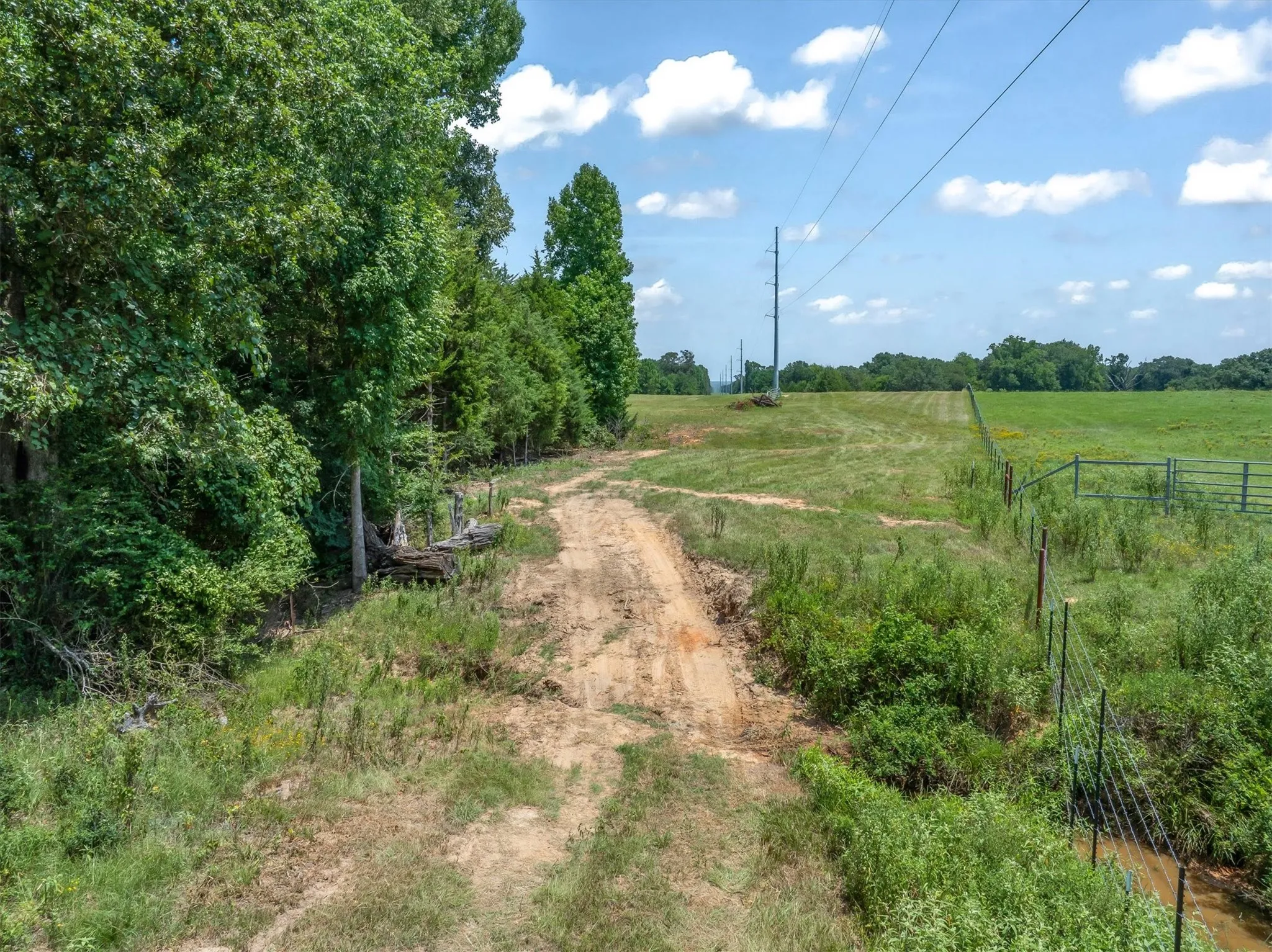 Unimproved Land For Sale in Henderson County , 000 County Road 3520, Brownsboro, Texas 75756, 0, 0, Garage spaces, 0 Sqft, built in 0, Price $275,000, mls#21351020, Real Estate Agent in Brownsboro, Homes For Sale in Henderson county, Homes For Sale in Brownsboro, Realtor in Brownsboro Texas, Real Estate Brokerage Independent Realty Texas, Luminita Cordes Realtor
