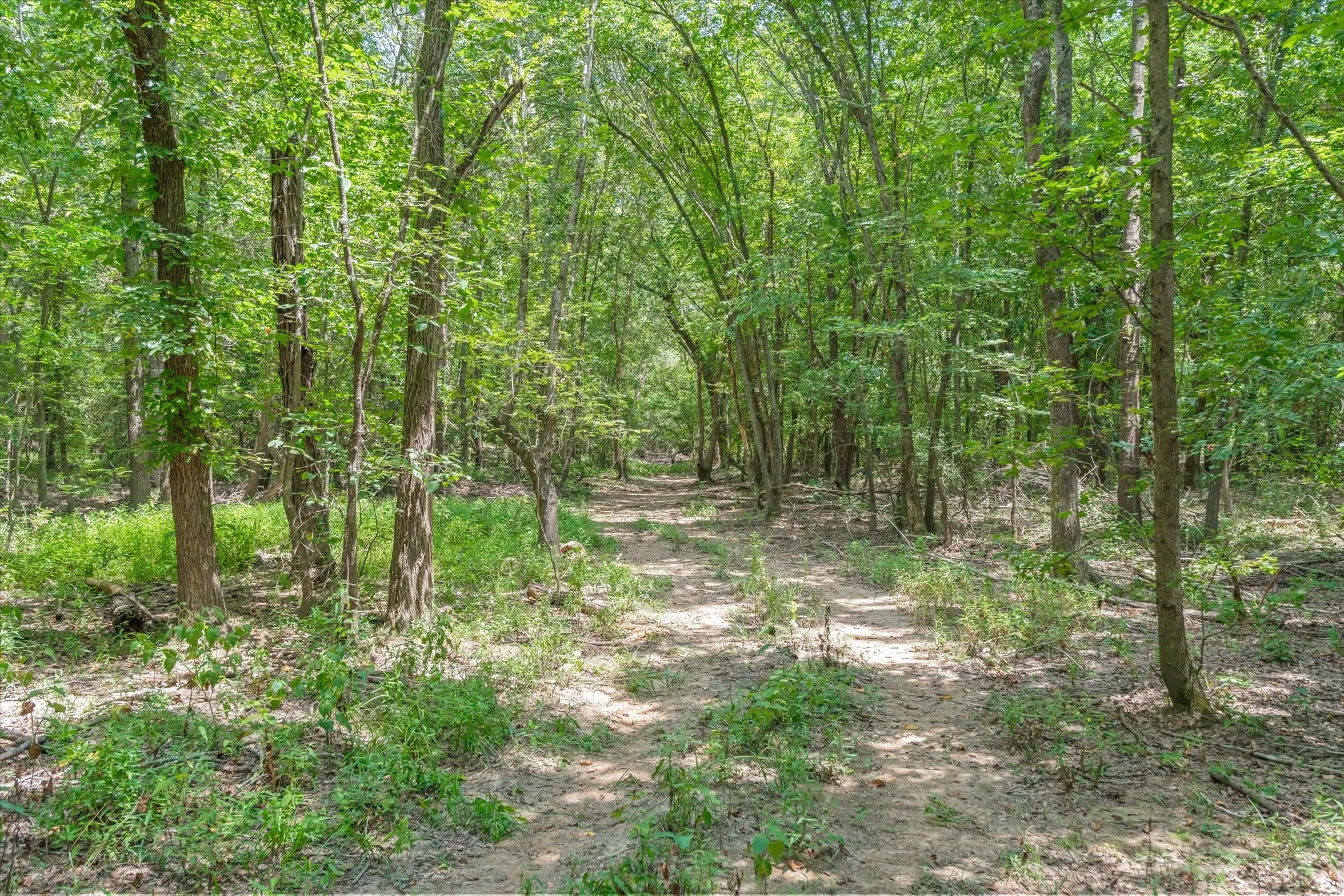 Unimproved Land For Sale in Henderson County , 000 County Road 3520, Brownsboro, Texas 75756, 0, 0, Garage spaces, 0 Sqft, built in 0, Price $275,000, mls#21351020, Real Estate Agent in Brownsboro, Homes For Sale in Henderson county, Homes For Sale in Brownsboro, Realtor in Brownsboro Texas, Real Estate Brokerage Independent Realty Texas, Luminita Cordes Realtor