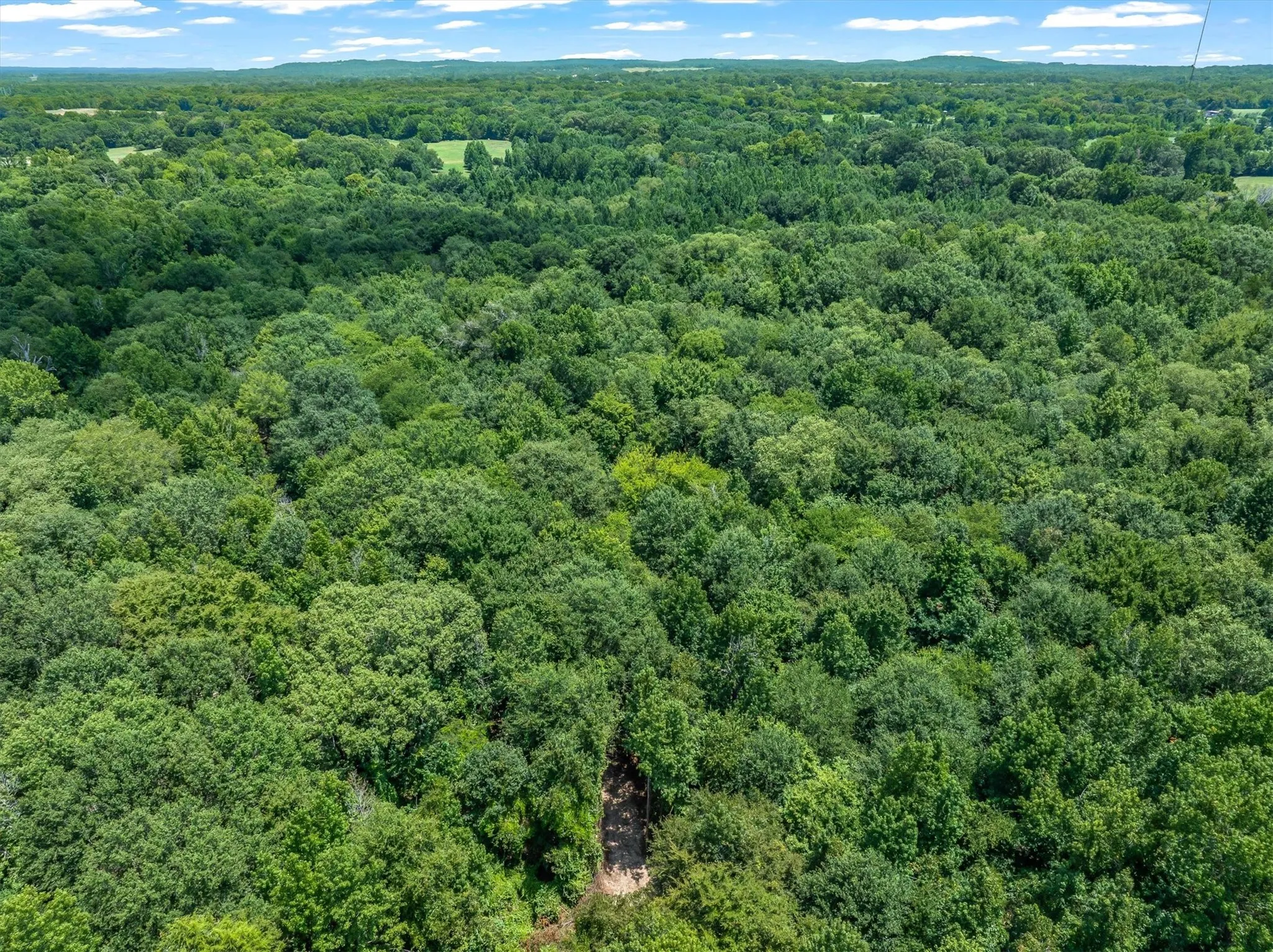 Unimproved Land For Sale in Henderson County , 000 County Road 3520, Brownsboro, Texas 75756, 0, 0, Garage spaces, 0 Sqft, built in 0, Price $275,000, mls#21351020, Real Estate Agent in Brownsboro, Homes For Sale in Henderson county, Homes For Sale in Brownsboro, Realtor in Brownsboro Texas, Real Estate Brokerage Independent Realty Texas, Luminita Cordes Realtor