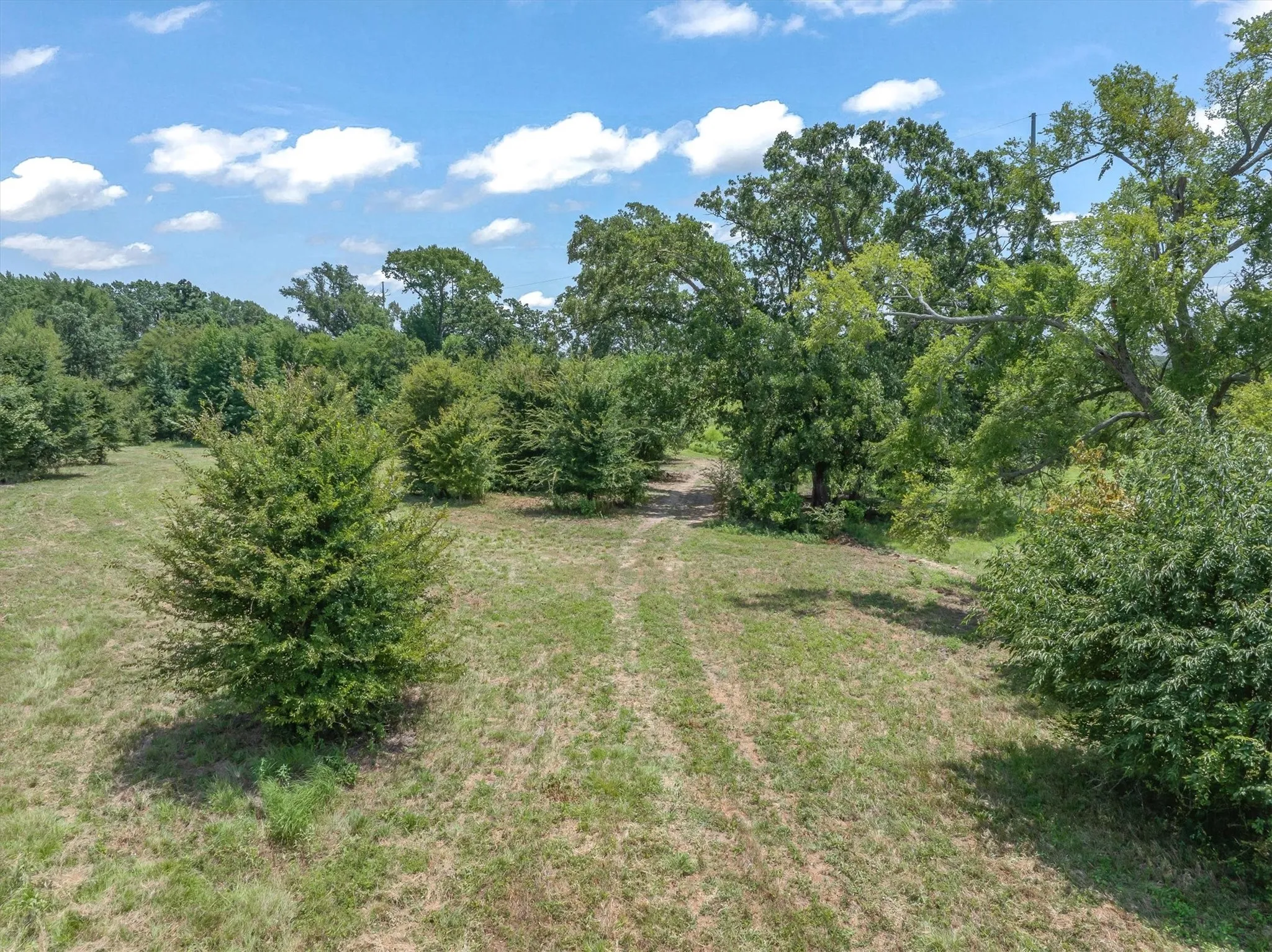Unimproved Land For Sale in Henderson County , 000 County Road 3520, Brownsboro, Texas 75756, 0, 0, Garage spaces, 0 Sqft, built in 0, Price $275,000, mls#21351020, Real Estate Agent in Brownsboro, Homes For Sale in Henderson county, Homes For Sale in Brownsboro, Realtor in Brownsboro Texas, Real Estate Brokerage Independent Realty Texas, Luminita Cordes Realtor