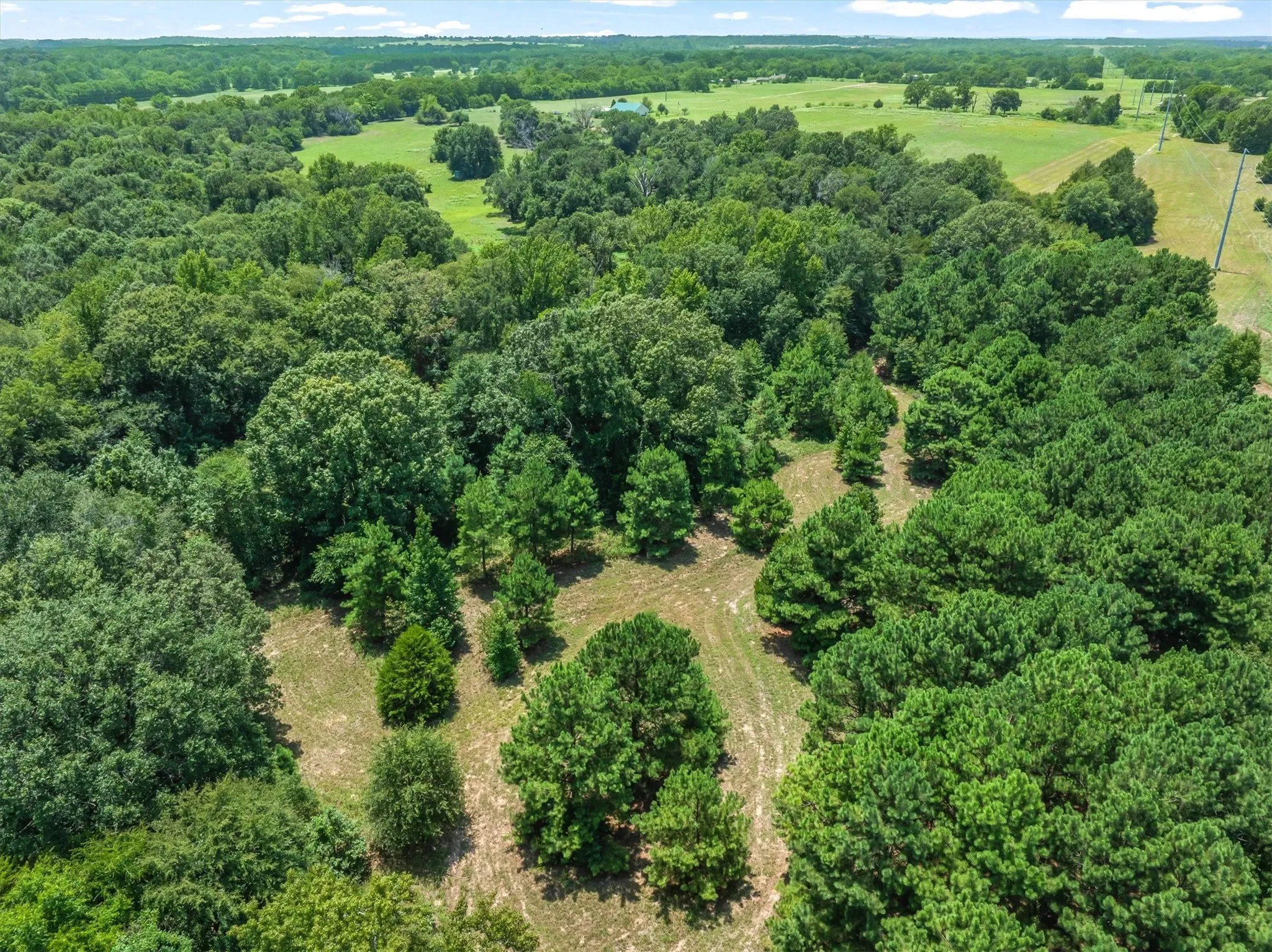 Unimproved Land For Sale in Henderson County , 000 County Road 3520, Brownsboro, Texas 75756, 0, 0, Garage spaces, 0 Sqft, built in 0, Price $275,000, mls#21351020, Real Estate Agent in Brownsboro, Homes For Sale in Henderson county, Homes For Sale in Brownsboro, Realtor in Brownsboro Texas, Real Estate Brokerage Independent Realty Texas, Luminita Cordes Realtor