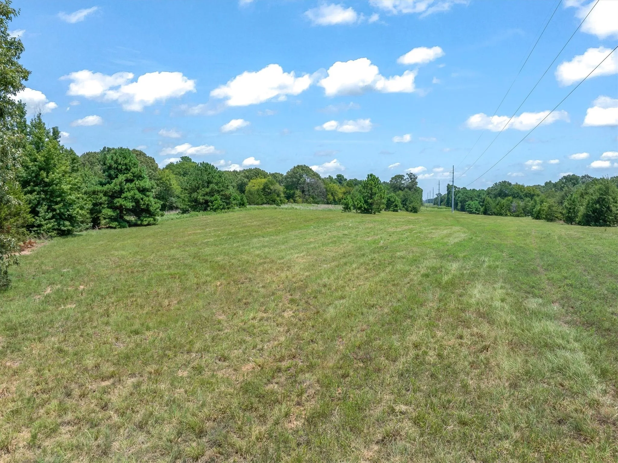 Unimproved Land For Sale in Henderson County , 000 County Road 3520, Brownsboro, Texas 75756, 0, 0, Garage spaces, 0 Sqft, built in 0, Price $275,000, mls#21351020, Real Estate Agent in Brownsboro, Homes For Sale in Henderson county, Homes For Sale in Brownsboro, Realtor in Brownsboro Texas, Real Estate Brokerage Independent Realty Texas, Luminita Cordes Realtor