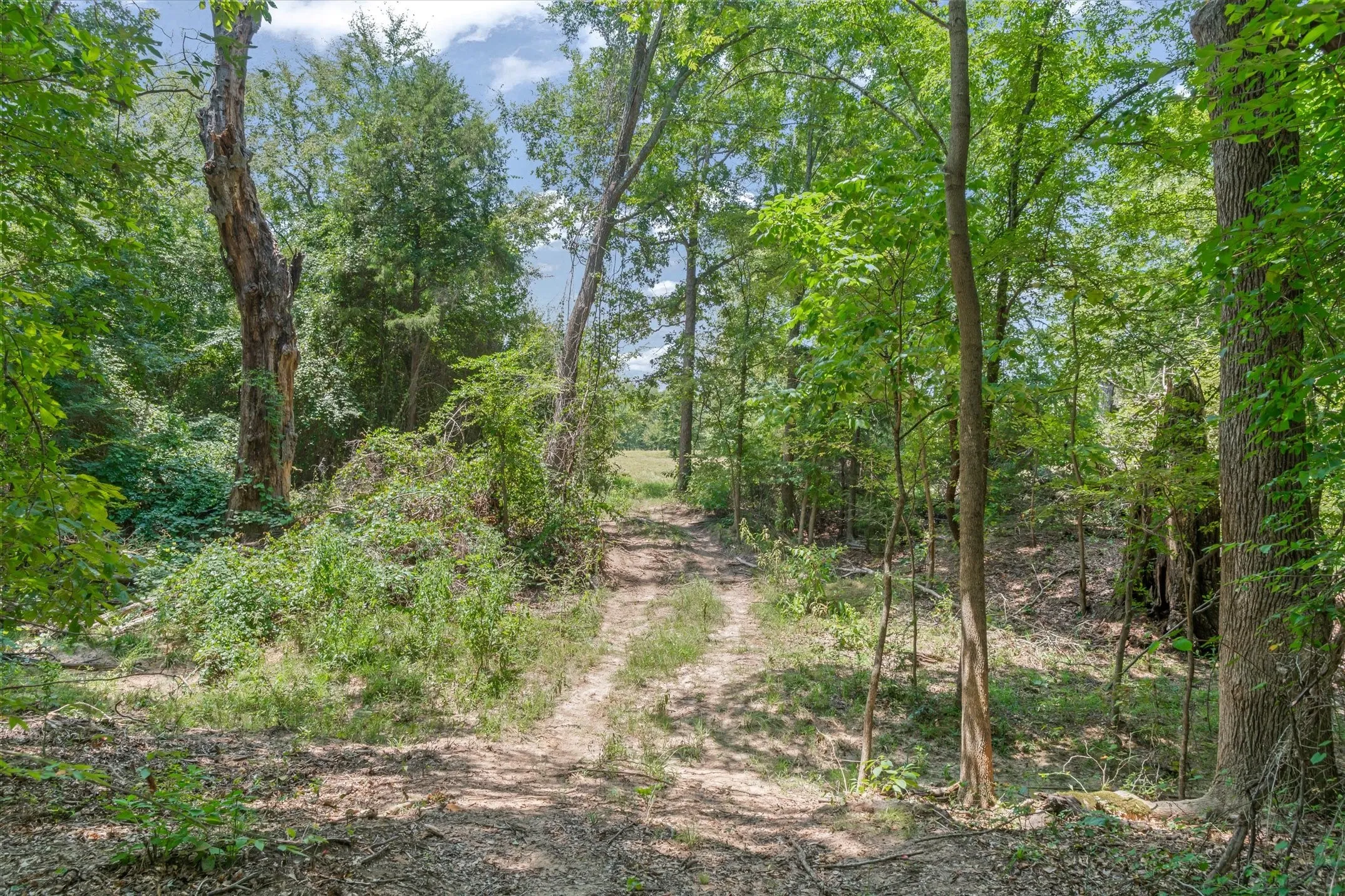 Unimproved Land For Sale in Henderson County , 000 County Road 3520, Brownsboro, Texas 75756, 0, 0, Garage spaces, 0 Sqft, built in 0, Price $275,000, mls#21351020, Real Estate Agent in Brownsboro, Homes For Sale in Henderson county, Homes For Sale in Brownsboro, Realtor in Brownsboro Texas, Real Estate Brokerage Independent Realty Texas, Luminita Cordes Realtor