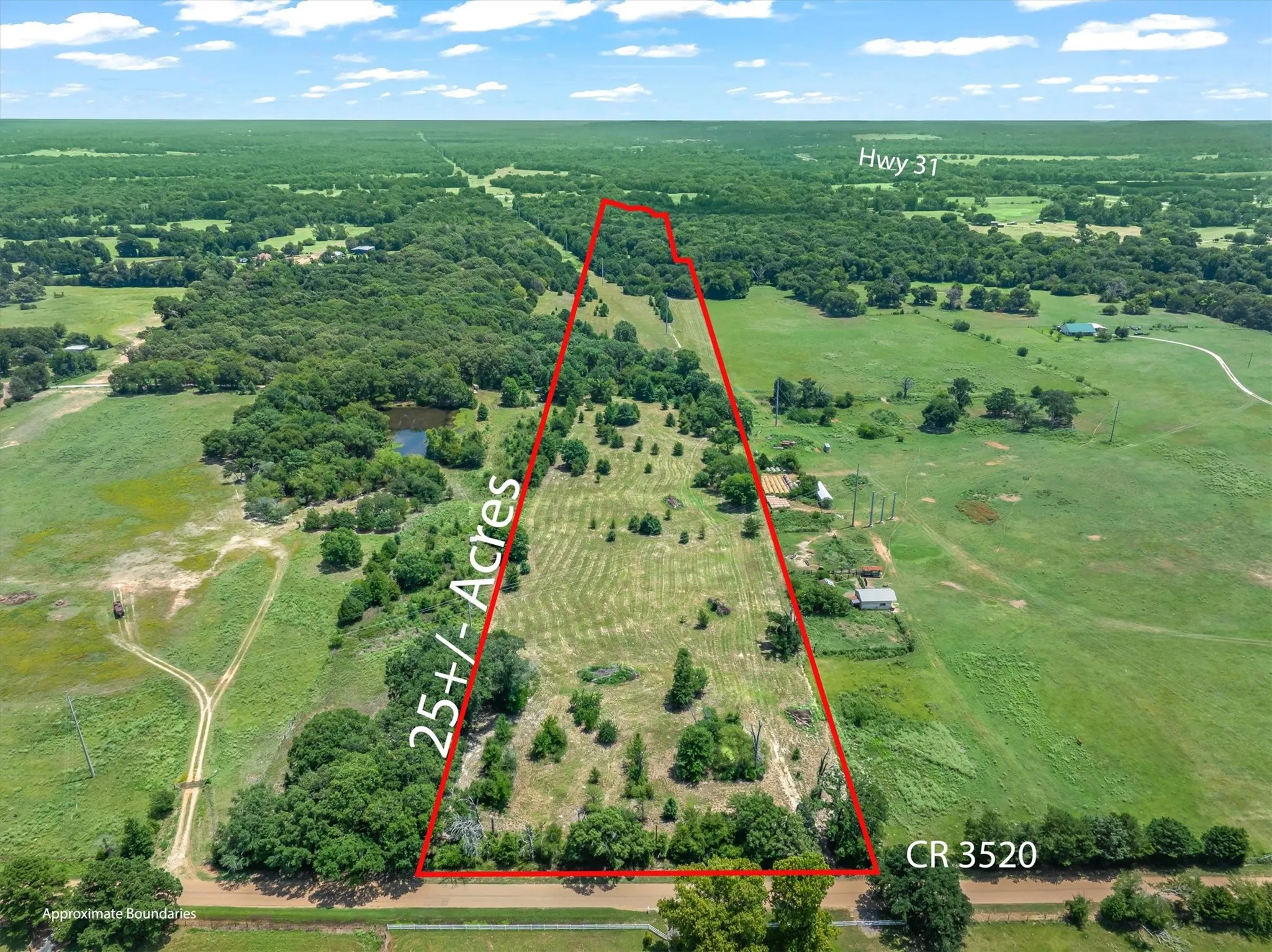 Unimproved Land For Sale in Henderson County , 000 County Road 3520, Brownsboro, Texas 75756, 0, 0, Garage spaces, 0 Sqft, built in 0, Price $275,000, mls#21351020, Real Estate Agent in Brownsboro, Homes For Sale in Henderson county, Homes For Sale in Brownsboro, Realtor in Brownsboro Texas, Real Estate Brokerage Independent Realty Texas, Luminita Cordes Realtor