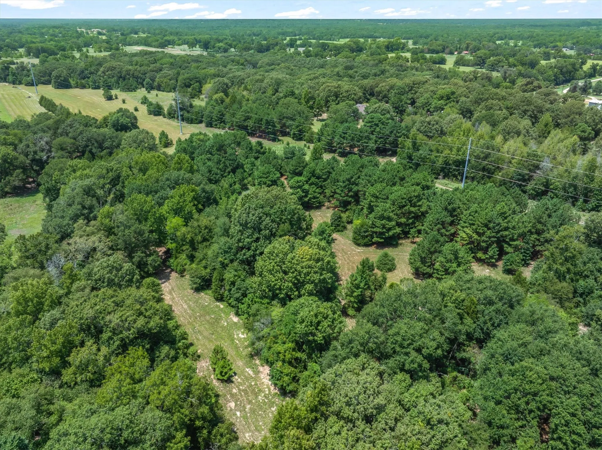 Unimproved Land For Sale in Henderson County , 000 County Road 3520, Brownsboro, Texas 75756, 0, 0, Garage spaces, 0 Sqft, built in 0, Price $275,000, mls#21351020, Real Estate Agent in Brownsboro, Homes For Sale in Henderson county, Homes For Sale in Brownsboro, Realtor in Brownsboro Texas, Real Estate Brokerage Independent Realty Texas, Luminita Cordes Realtor