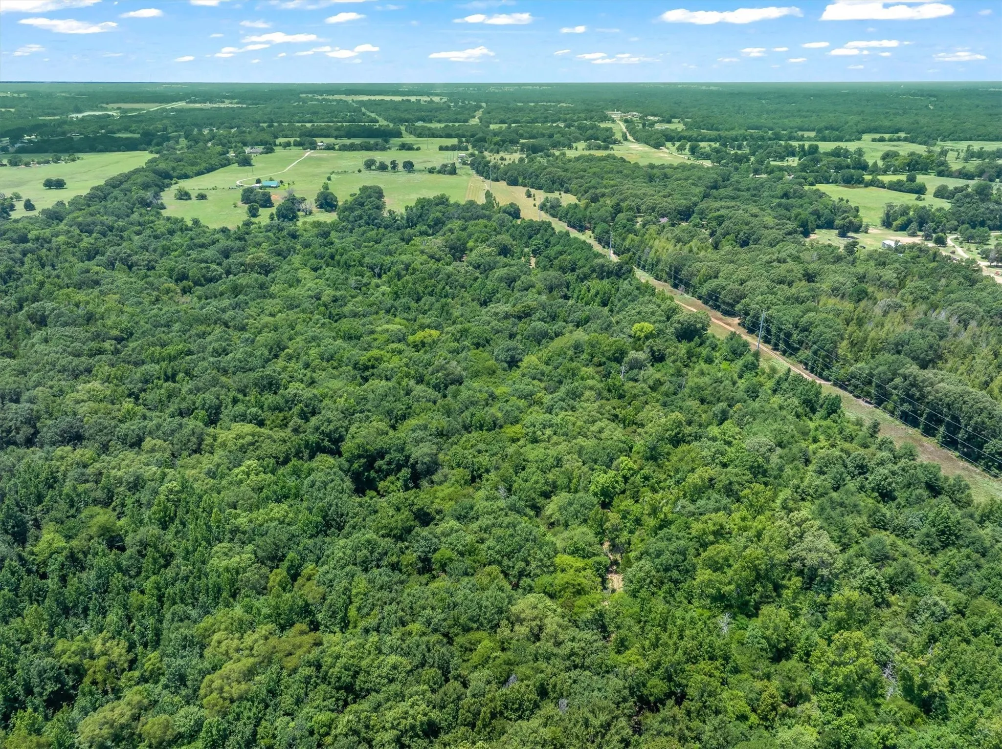 Unimproved Land For Sale in Henderson County , 000 County Road 3520, Brownsboro, Texas 75756, 0, 0, Garage spaces, 0 Sqft, built in 0, Price $275,000, mls#21351020, Real Estate Agent in Brownsboro, Homes For Sale in Henderson county, Homes For Sale in Brownsboro, Realtor in Brownsboro Texas, Real Estate Brokerage Independent Realty Texas, Luminita Cordes Realtor
