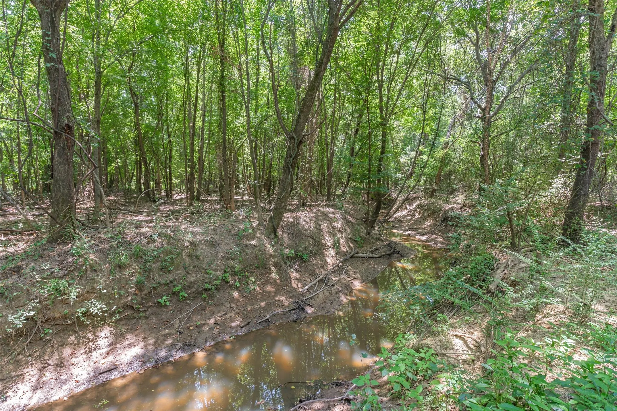 Unimproved Land For Sale in Henderson County , 000 County Road 3520, Brownsboro, Texas 75756, 0, 0, Garage spaces, 0 Sqft, built in 0, Price $275,000, mls#21351020, Real Estate Agent in Brownsboro, Homes For Sale in Henderson county, Homes For Sale in Brownsboro, Realtor in Brownsboro Texas, Real Estate Brokerage Independent Realty Texas, Luminita Cordes Realtor