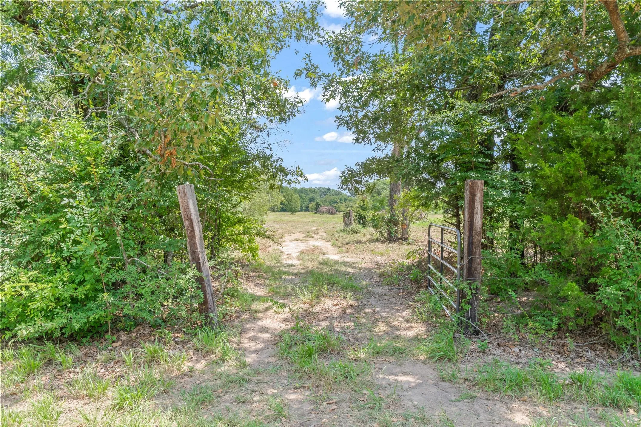Unimproved Land For Sale in Henderson County , 000 County Road 3520, Brownsboro, Texas 75756, 0, 0, Garage spaces, 0 Sqft, built in 0, Price $275,000, mls#21351020, Real Estate Agent in Brownsboro, Homes For Sale in Henderson county, Homes For Sale in Brownsboro, Realtor in Brownsboro Texas, Real Estate Brokerage Independent Realty Texas, Luminita Cordes Realtor
