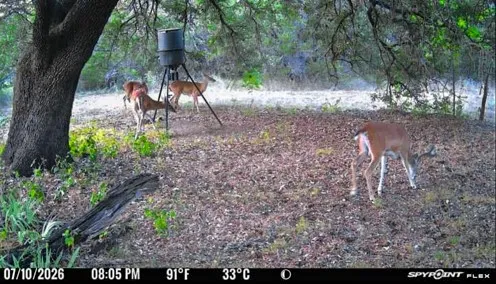 Unimproved Land For Sale in Bosque County , UNK Fm 1991, Meridian, Texas 76665, 0, 0, Garage spaces, 0 Sqft, built in 0, mls#21346641, Real Estate Agent in Meridian, Homes For Sale in Bosque county, Homes For Sale in Meridian, Realtor in Meridian Texas, Real Estate Brokerage Independent Realty Texas, Luminita Cordes Realtor