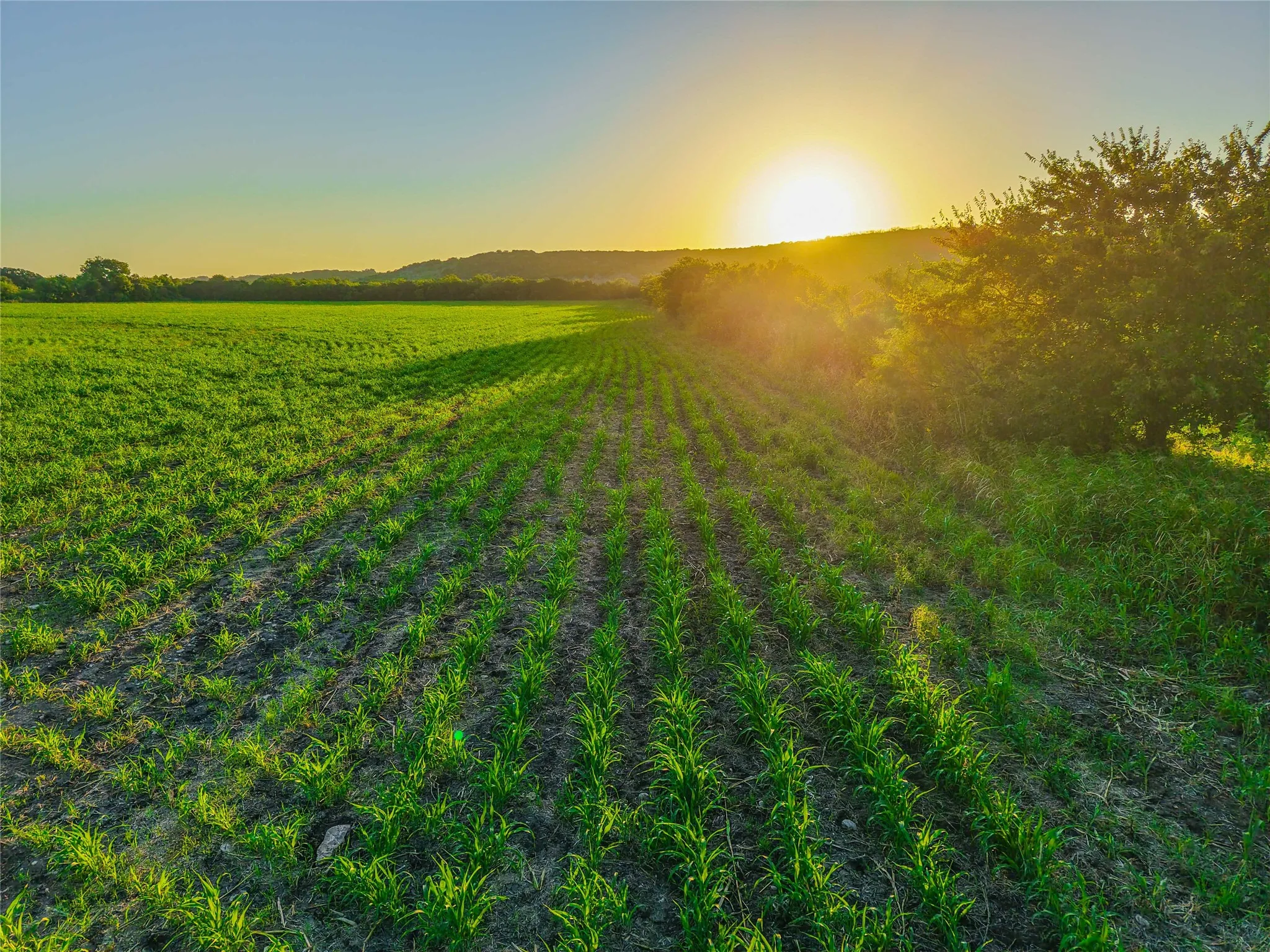 Unimproved Land For Sale in Bosque County , UNK Fm 1991, Meridian, Texas 76665, 0, 0, Garage spaces, 0 Sqft, built in 0, mls#21346641, Real Estate Agent in Meridian, Homes For Sale in Bosque county, Homes For Sale in Meridian, Realtor in Meridian Texas, Real Estate Brokerage Independent Realty Texas, Luminita Cordes Realtor