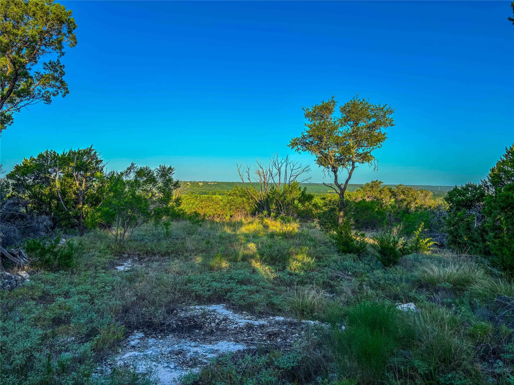 Unimproved Land For Sale in Bosque County , UNK Fm 1991, Meridian, Texas 76665, 0, 0, Garage spaces, 0 Sqft, built in 0, mls#21346641, Real Estate Agent in Meridian, Homes For Sale in Bosque county, Homes For Sale in Meridian, Realtor in Meridian Texas, Real Estate Brokerage Independent Realty Texas, Luminita Cordes Realtor