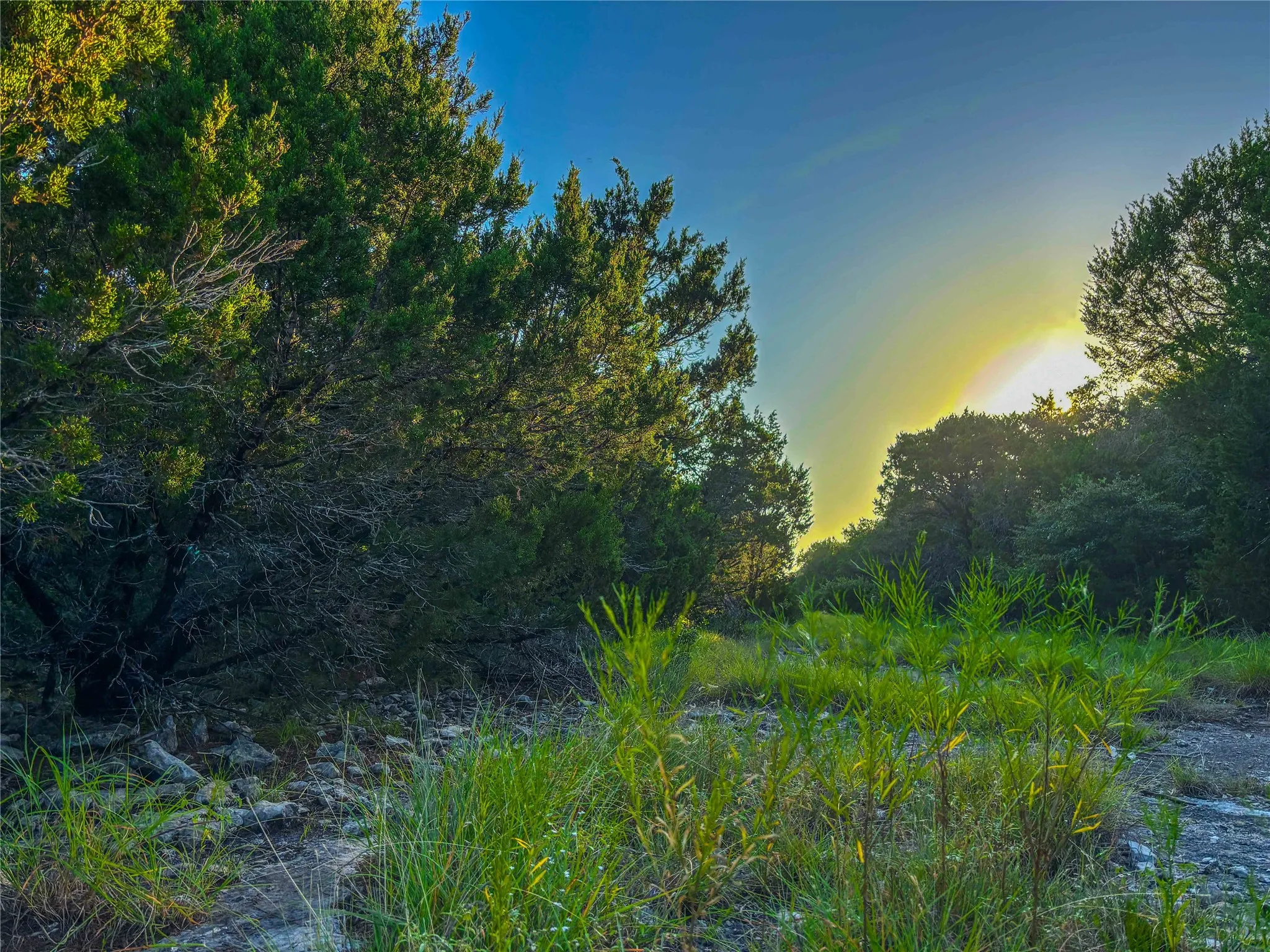 Unimproved Land For Sale in Bosque County , UNK Fm 1991, Meridian, Texas 76665, 0, 0, Garage spaces, 0 Sqft, built in 0, mls#21346641, Real Estate Agent in Meridian, Homes For Sale in Bosque county, Homes For Sale in Meridian, Realtor in Meridian Texas, Real Estate Brokerage Independent Realty Texas, Luminita Cordes Realtor