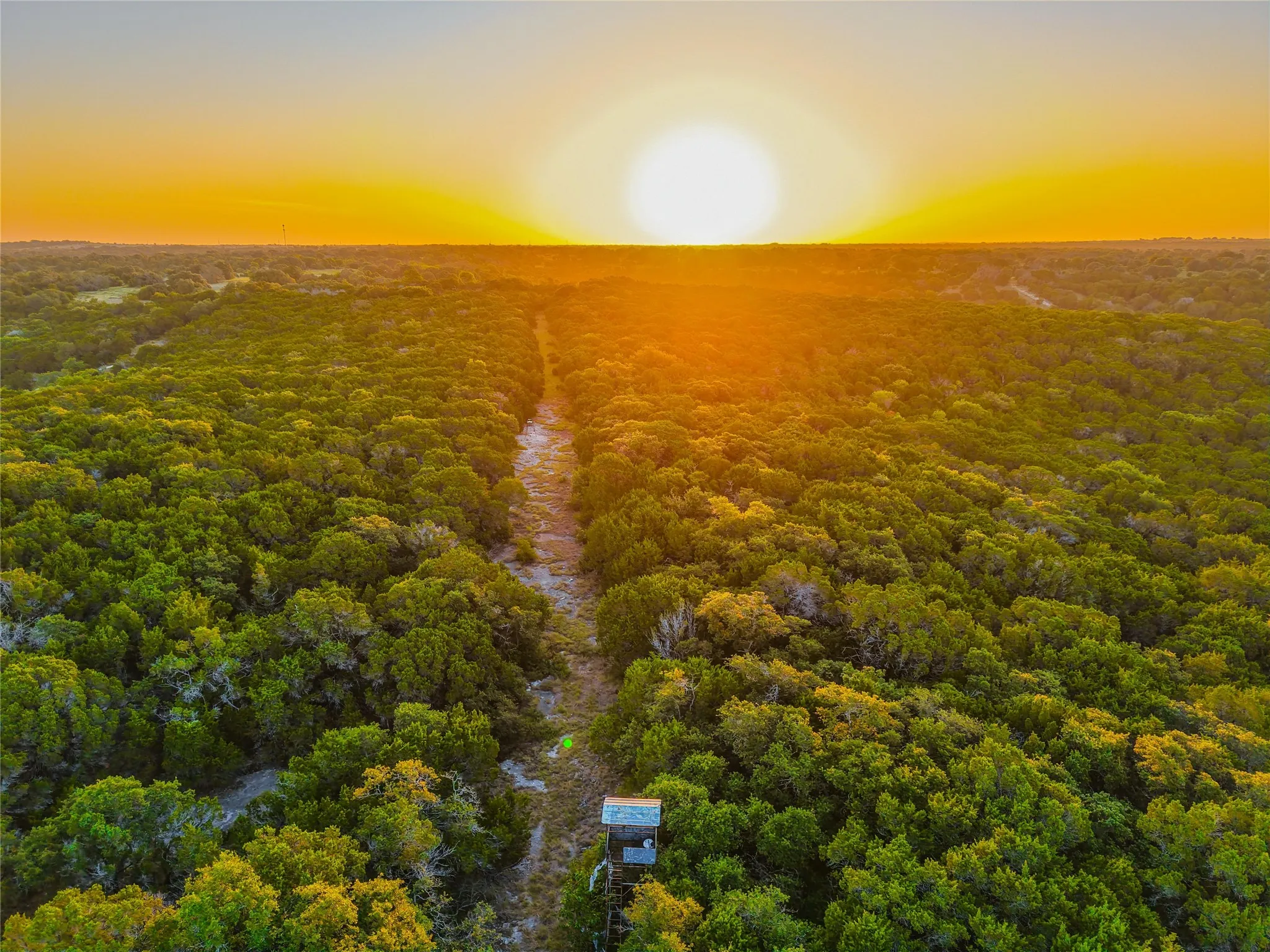 Unimproved Land For Sale in Bosque County , UNK Fm 1991, Meridian, Texas 76665, 0, 0, Garage spaces, 0 Sqft, built in 0, mls#21346641, Real Estate Agent in Meridian, Homes For Sale in Bosque county, Homes For Sale in Meridian, Realtor in Meridian Texas, Real Estate Brokerage Independent Realty Texas, Luminita Cordes Realtor