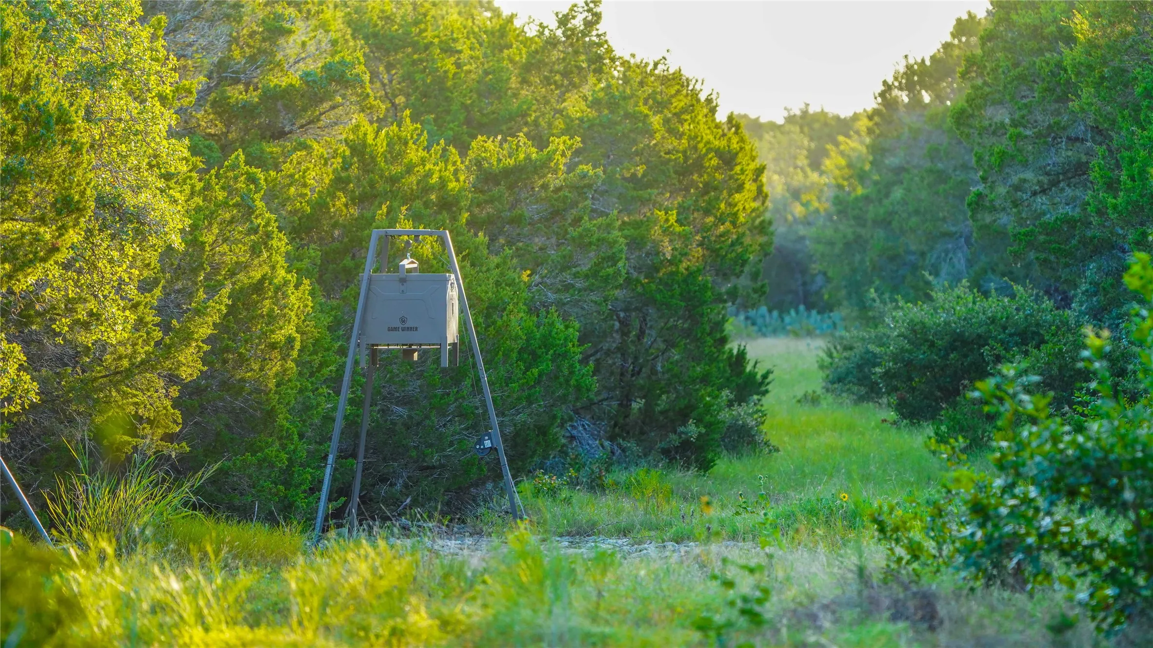 Unimproved Land For Sale in Bosque County , UNK Fm 1991, Meridian, Texas 76665, 0, 0, Garage spaces, 0 Sqft, built in 0, mls#21346641, Real Estate Agent in Meridian, Homes For Sale in Bosque county, Homes For Sale in Meridian, Realtor in Meridian Texas, Real Estate Brokerage Independent Realty Texas, Luminita Cordes Realtor