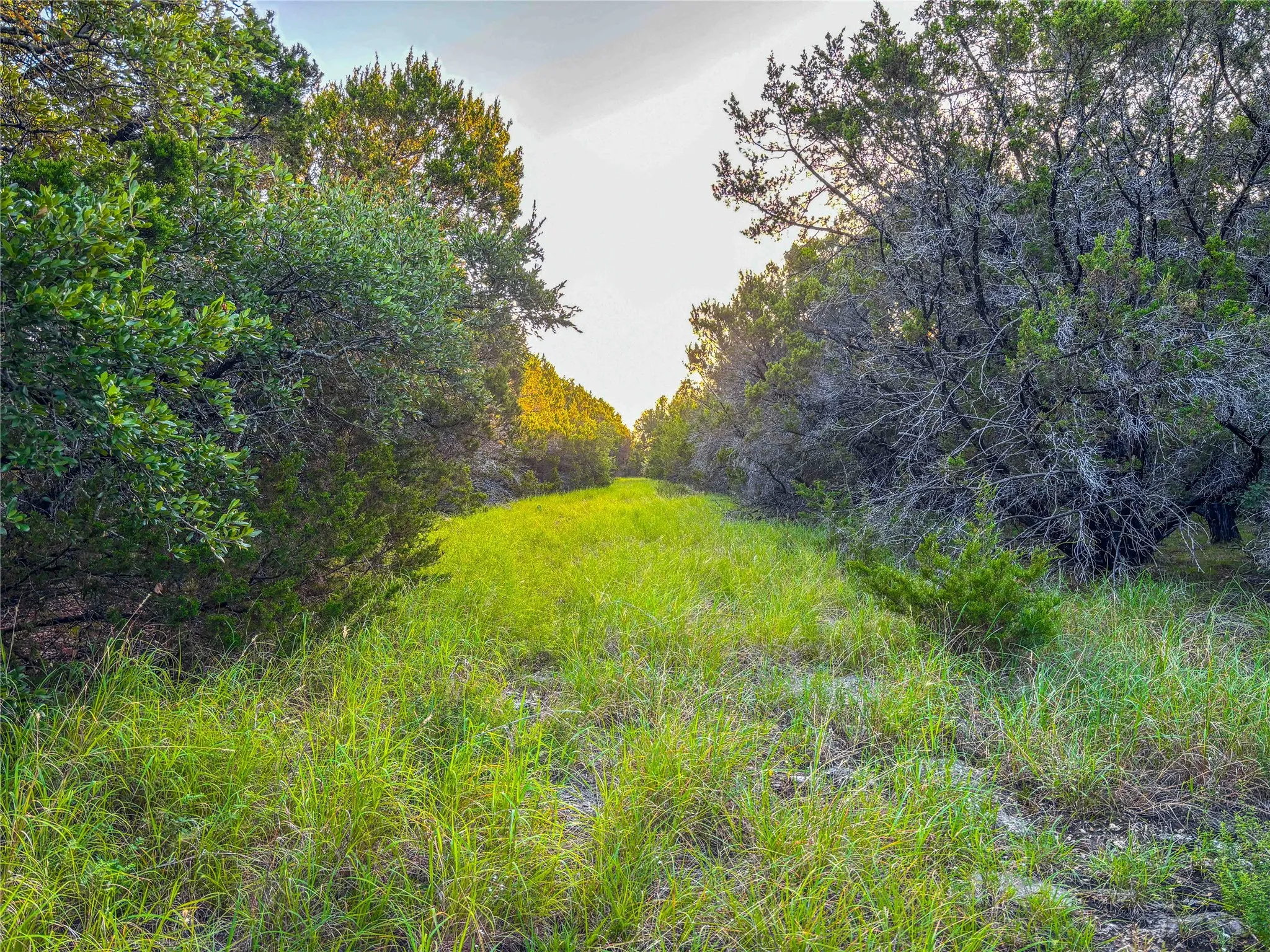 Unimproved Land For Sale in Bosque County , UNK Fm 1991, Meridian, Texas 76665, 0, 0, Garage spaces, 0 Sqft, built in 0, mls#21346641, Real Estate Agent in Meridian, Homes For Sale in Bosque county, Homes For Sale in Meridian, Realtor in Meridian Texas, Real Estate Brokerage Independent Realty Texas, Luminita Cordes Realtor