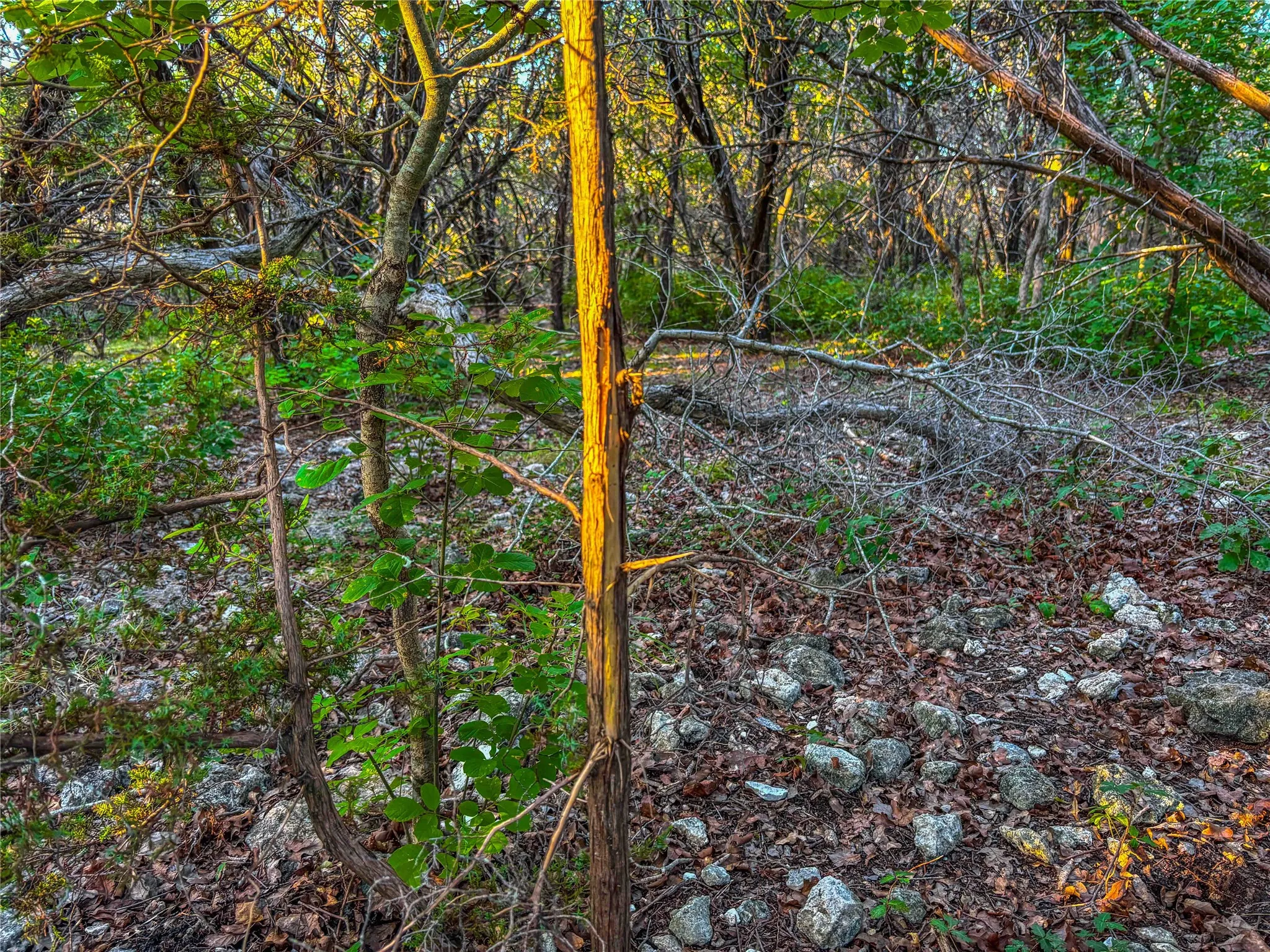 Unimproved Land For Sale in Bosque County , UNK Fm 1991, Meridian, Texas 76665, 0, 0, Garage spaces, 0 Sqft, built in 0, mls#21346641, Real Estate Agent in Meridian, Homes For Sale in Bosque county, Homes For Sale in Meridian, Realtor in Meridian Texas, Real Estate Brokerage Independent Realty Texas, Luminita Cordes Realtor
