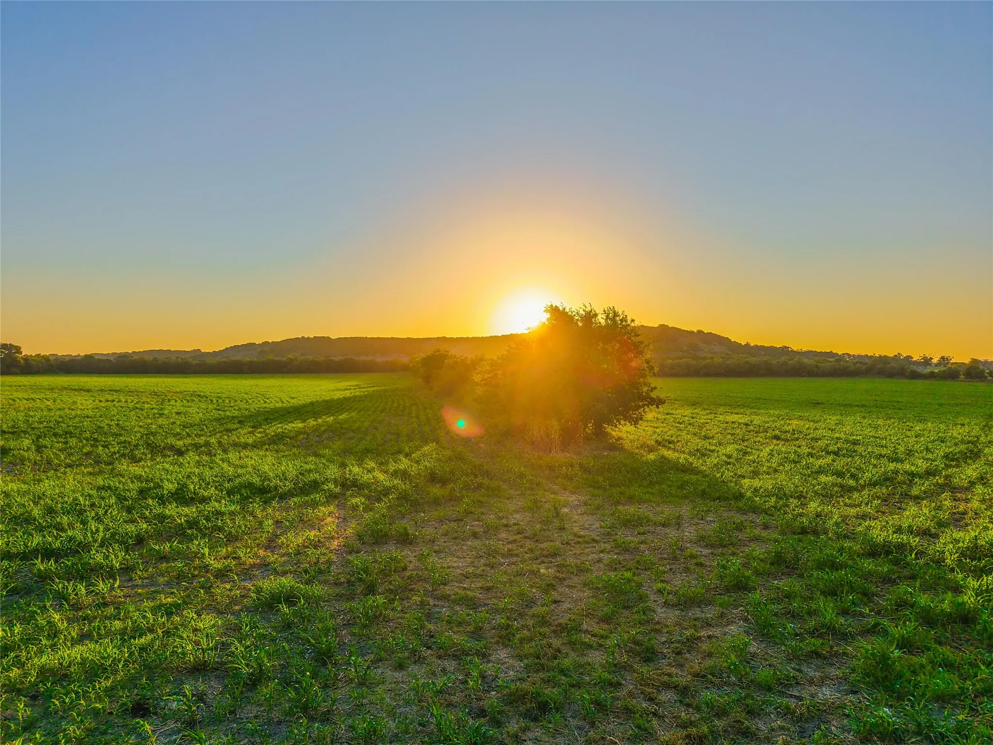 Unimproved Land For Sale in Bosque County , UNK Fm 1991, Meridian, Texas 76665, 0, 0, Garage spaces, 0 Sqft, built in 0, mls#21346641, Real Estate Agent in Meridian, Homes For Sale in Bosque county, Homes For Sale in Meridian, Realtor in Meridian Texas, Real Estate Brokerage Independent Realty Texas, Luminita Cordes Realtor