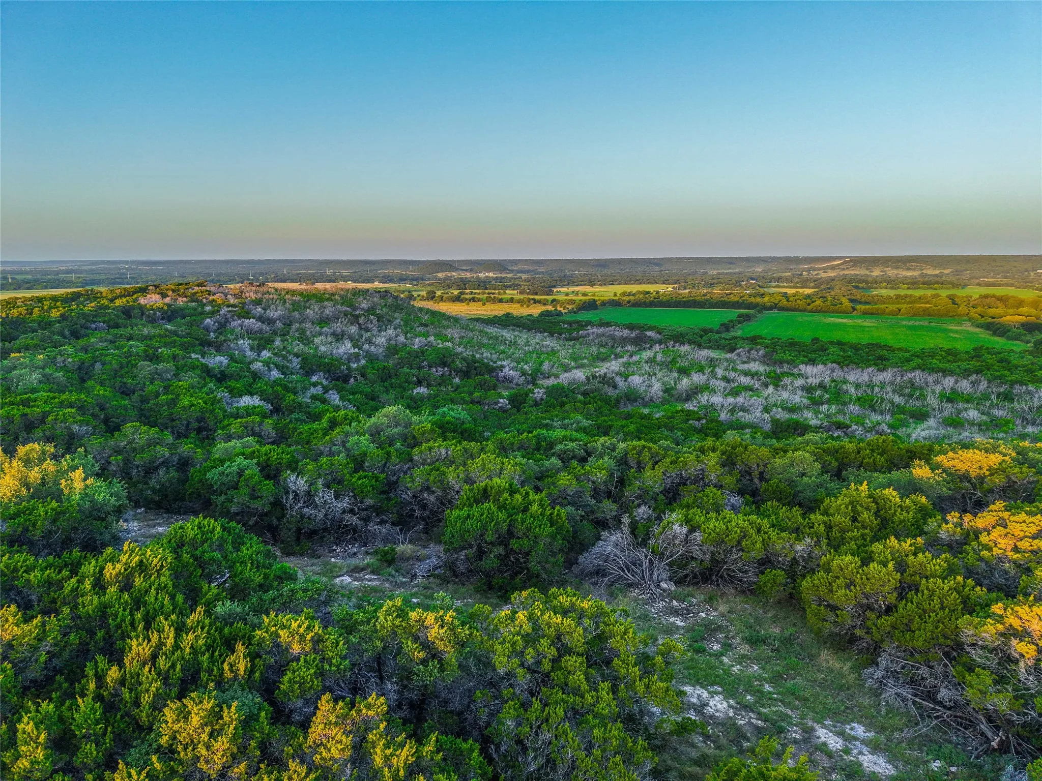 Unimproved Land For Sale in Bosque County , UNK Fm 1991, Meridian, Texas 76665, 0, 0, Garage spaces, 0 Sqft, built in 0, mls#21346641, Real Estate Agent in Meridian, Homes For Sale in Bosque county, Homes For Sale in Meridian, Realtor in Meridian Texas, Real Estate Brokerage Independent Realty Texas, Luminita Cordes Realtor