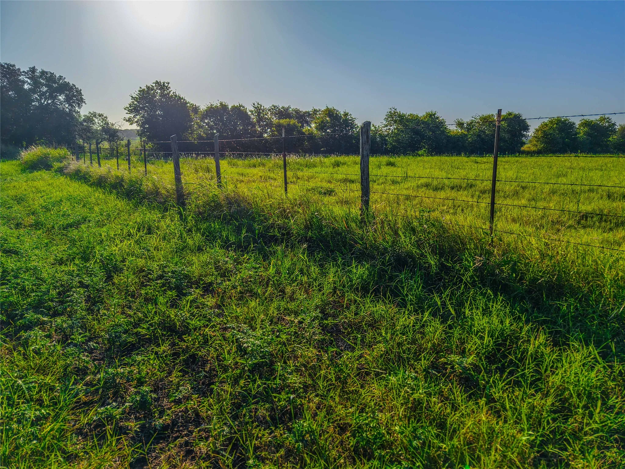 Unimproved Land For Sale in Bosque County , UNK Fm 1991, Meridian, Texas 76665, 0, 0, Garage spaces, 0 Sqft, built in 0, mls#21346641, Real Estate Agent in Meridian, Homes For Sale in Bosque county, Homes For Sale in Meridian, Realtor in Meridian Texas, Real Estate Brokerage Independent Realty Texas, Luminita Cordes Realtor