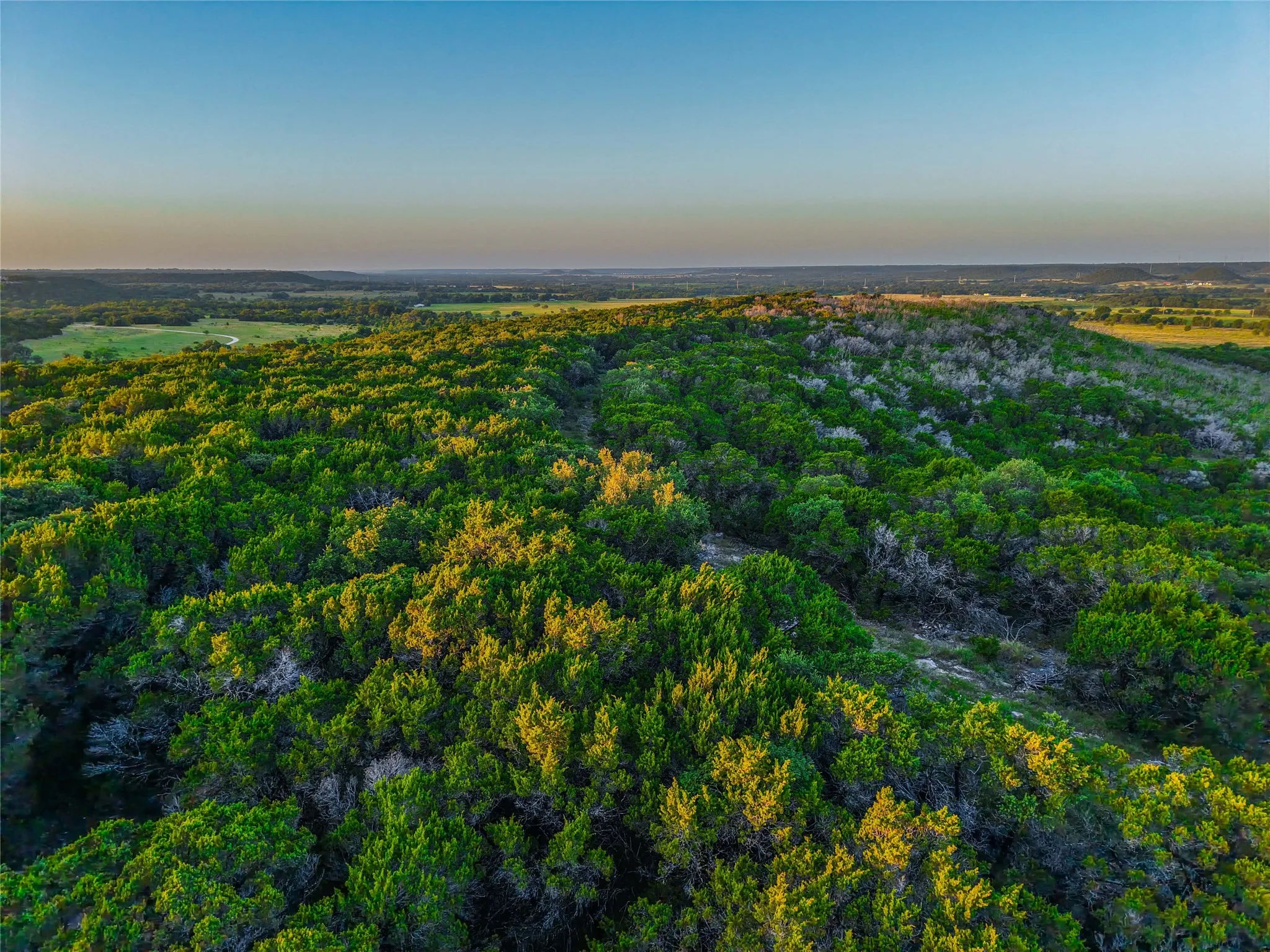 Unimproved Land For Sale in Bosque County , UNK Fm 1991, Meridian, Texas 76665, 0, 0, Garage spaces, 0 Sqft, built in 0, mls#21346641, Real Estate Agent in Meridian, Homes For Sale in Bosque county, Homes For Sale in Meridian, Realtor in Meridian Texas, Real Estate Brokerage Independent Realty Texas, Luminita Cordes Realtor