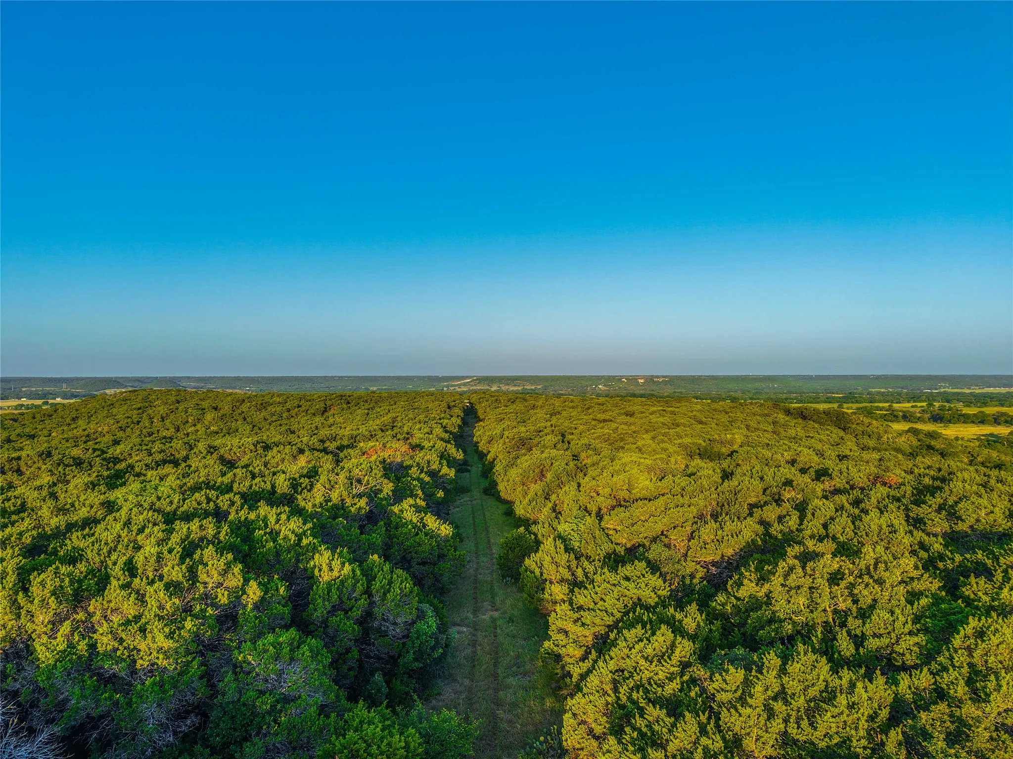Unimproved Land For Sale in Bosque County , UNK Fm 1991, Meridian, Texas 76665, 0, 0, Garage spaces, 0 Sqft, built in 0, mls#21346641, Real Estate Agent in Meridian, Homes For Sale in Bosque county, Homes For Sale in Meridian, Realtor in Meridian Texas, Real Estate Brokerage Independent Realty Texas, Luminita Cordes Realtor