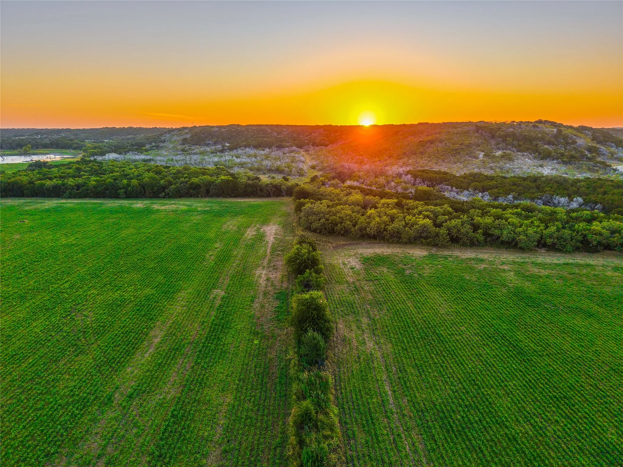 Unimproved Land For Sale in Bosque County , UNK Fm 1991, Meridian, Texas 76665, 0, 0, Garage spaces, 0 Sqft, built in 0, mls#21346641, Real Estate Agent in Meridian, Homes For Sale in Bosque county, Homes For Sale in Meridian, Realtor in Meridian Texas, Real Estate Brokerage Independent Realty Texas, Luminita Cordes Realtor