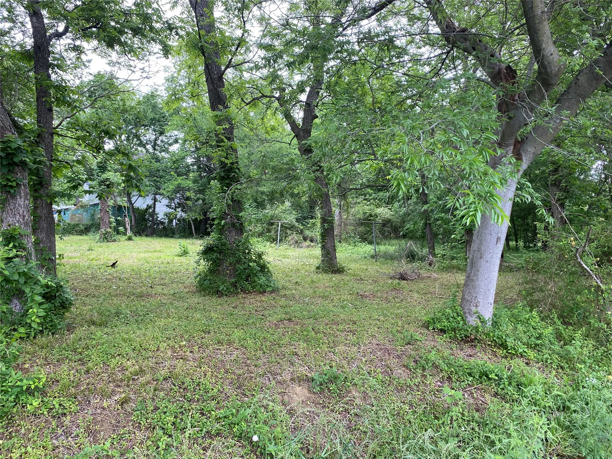 Unimproved Land For Sale in Fannin County , 102 Elm Street, Bonham, Texas 75418, 0, 0, Garage spaces, 0 Sqft, built in 0, mls#21351665, Real Estate Agent in Bonham, Homes For Sale in Fannin county, Homes For Sale in Bonham, Realtor in Bonham Texas, Real Estate Brokerage Independent Realty Texas, Luminita Cordes Realtor