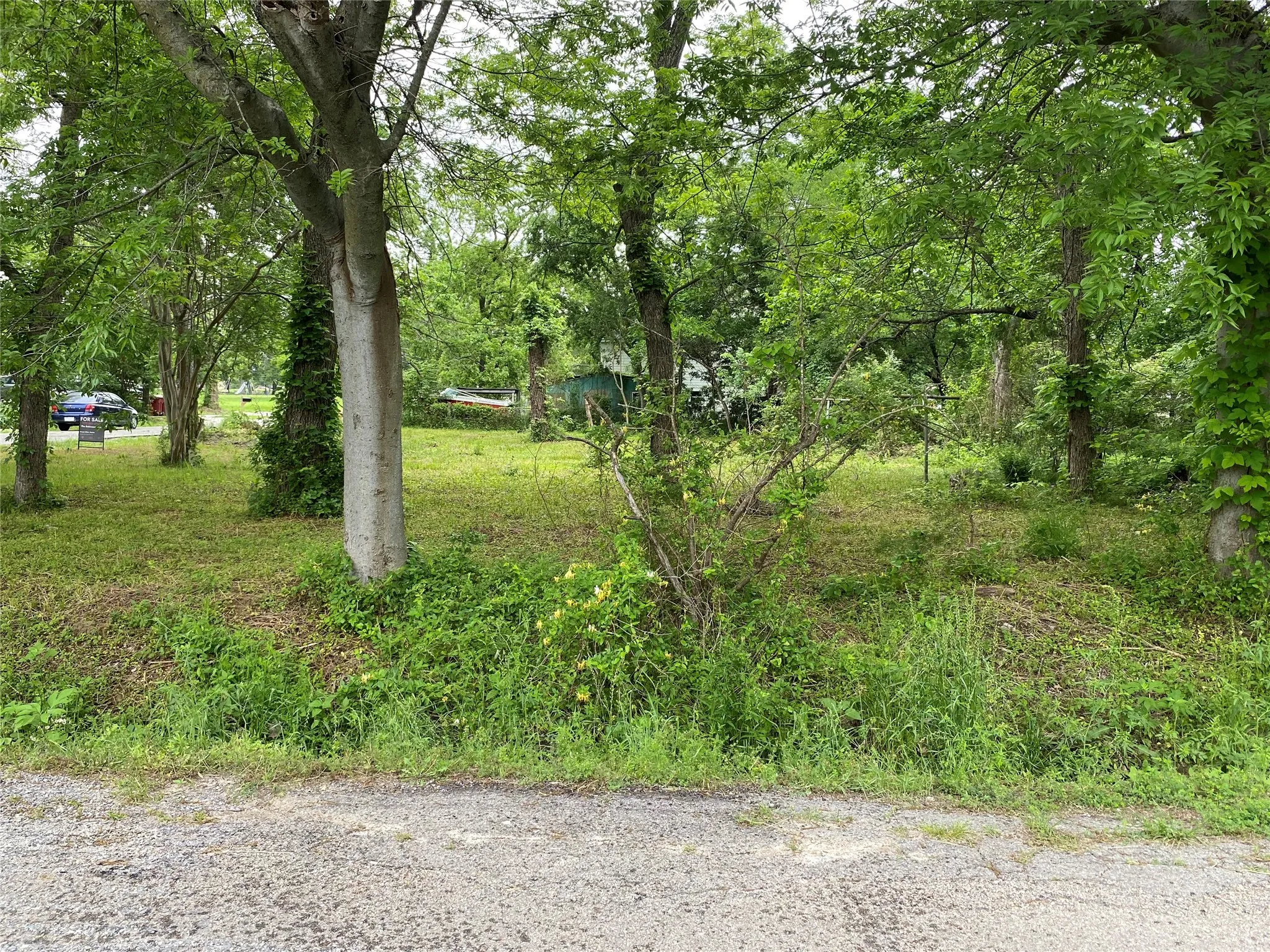 Unimproved Land For Sale in Fannin County , 102 Elm Street, Bonham, Texas 75418, 0, 0, Garage spaces, 0 Sqft, built in 0, mls#21351665, Real Estate Agent in Bonham, Homes For Sale in Fannin county, Homes For Sale in Bonham, Realtor in Bonham Texas, Real Estate Brokerage Independent Realty Texas, Luminita Cordes Realtor