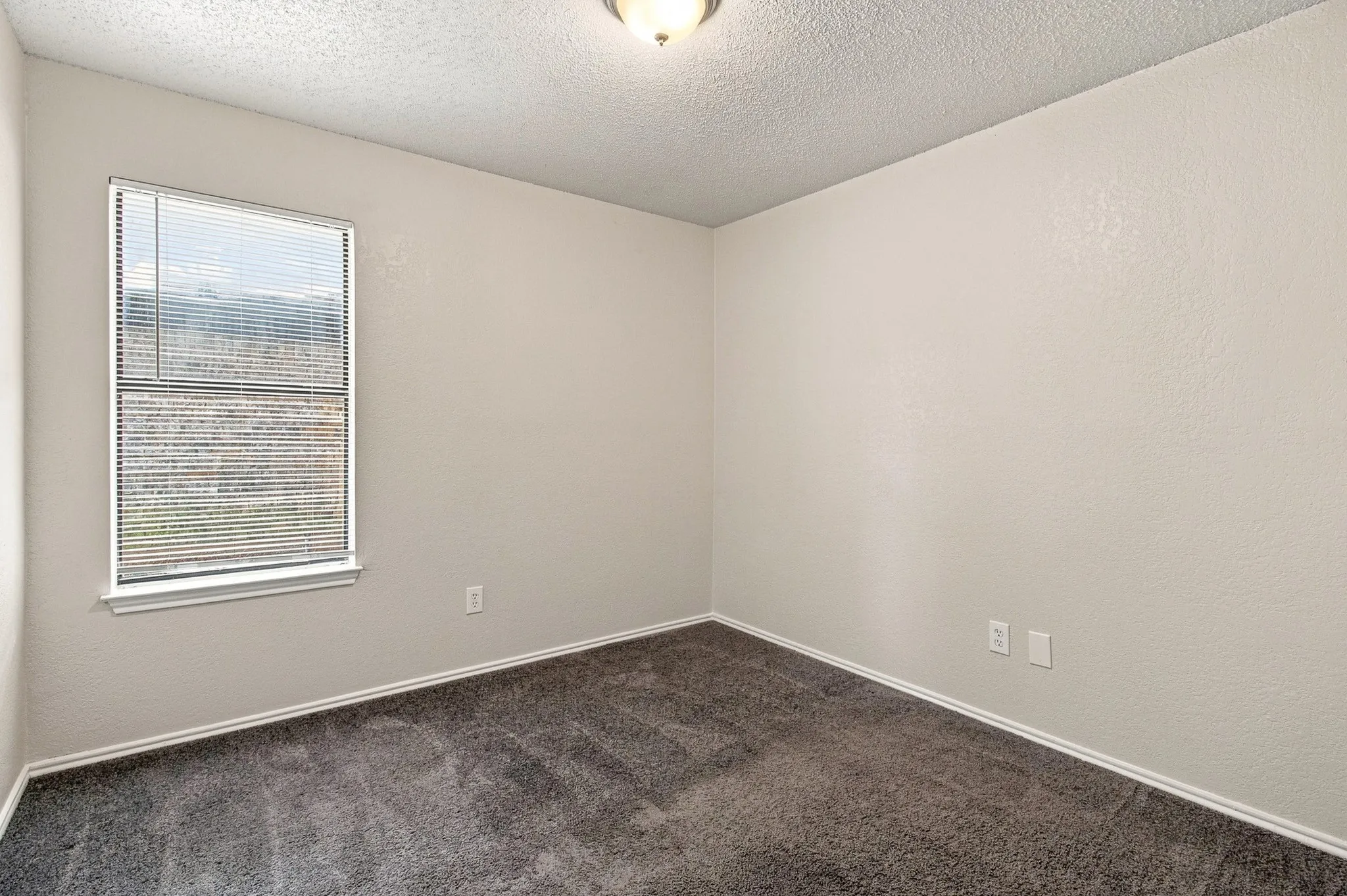 Neutral-toned walls complement the deep gray carpet