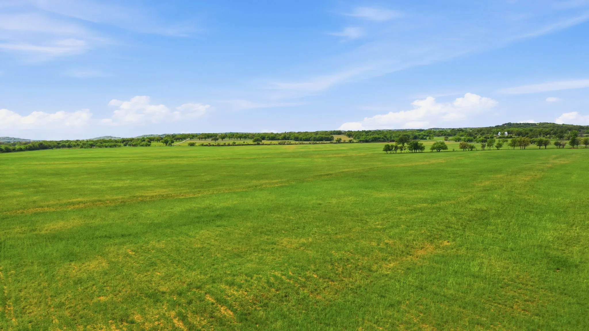 Ranch For Sale in Callahan County , TBD CR 403, Cisco, Texas 76437, 0, 0, Garage spaces, 0 Sqft, built in 0, Price $660,000, mls#21351648, Real Estate Agent in Cisco, Homes For Sale in Callahan county, Homes For Sale in Cisco, Realtor in Cisco Texas, Real Estate Brokerage Independent Realty Texas, Luminita Cordes Realtor