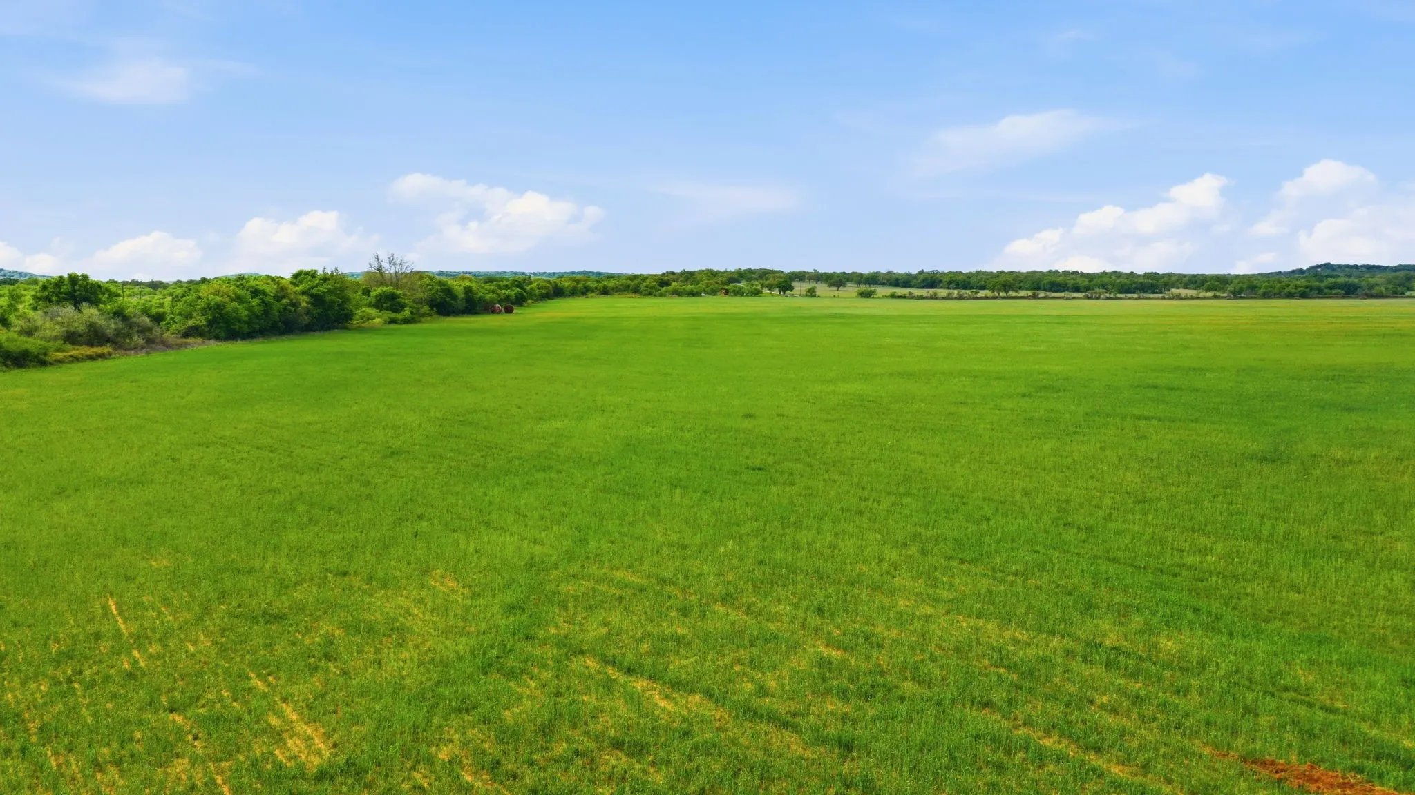 Ranch For Sale in Callahan County , TBD CR 403, Cisco, Texas 76437, 0, 0, Garage spaces, 0 Sqft, built in 0, Price $660,000, mls#21351648, Real Estate Agent in Cisco, Homes For Sale in Callahan county, Homes For Sale in Cisco, Realtor in Cisco Texas, Real Estate Brokerage Independent Realty Texas, Luminita Cordes Realtor