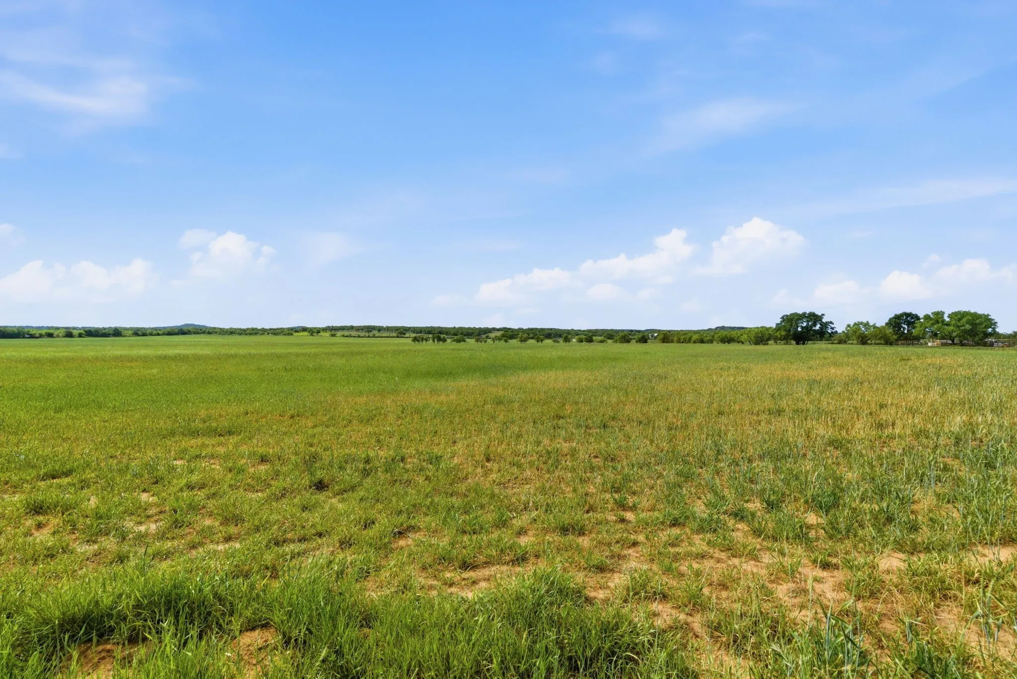 Ranch For Sale in Callahan County , TBD CR 403, Cisco, Texas 76437, 0, 0, Garage spaces, 0 Sqft, built in 0, Price $660,000, mls#21351648, Real Estate Agent in Cisco, Homes For Sale in Callahan county, Homes For Sale in Cisco, Realtor in Cisco Texas, Real Estate Brokerage Independent Realty Texas, Luminita Cordes Realtor