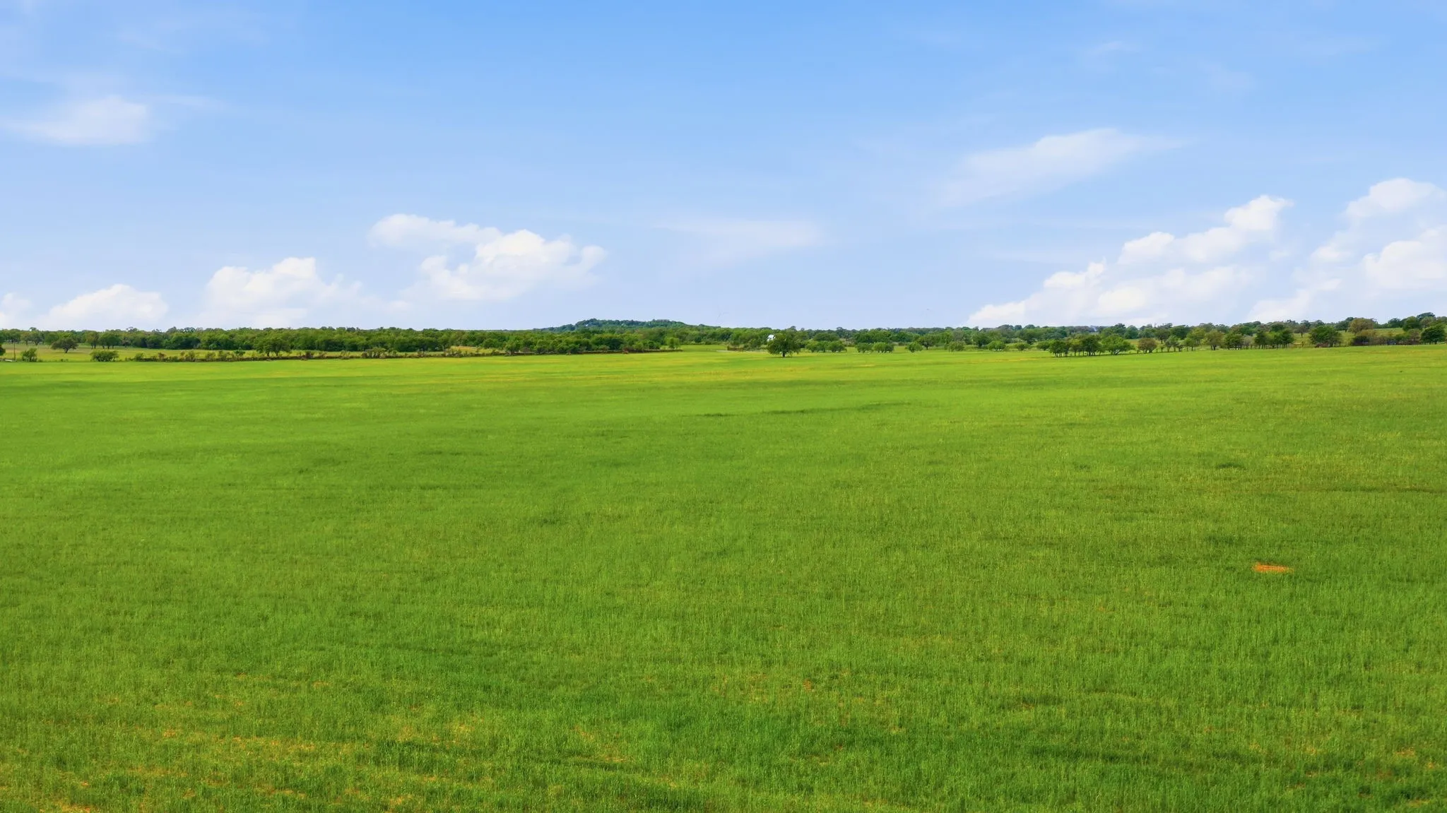 Ranch For Sale in Callahan County , TBD CR 403, Cisco, Texas 76437, 0, 0, Garage spaces, 0 Sqft, built in 0, Price $660,000, mls#21351648, Real Estate Agent in Cisco, Homes For Sale in Callahan county, Homes For Sale in Cisco, Realtor in Cisco Texas, Real Estate Brokerage Independent Realty Texas, Luminita Cordes Realtor