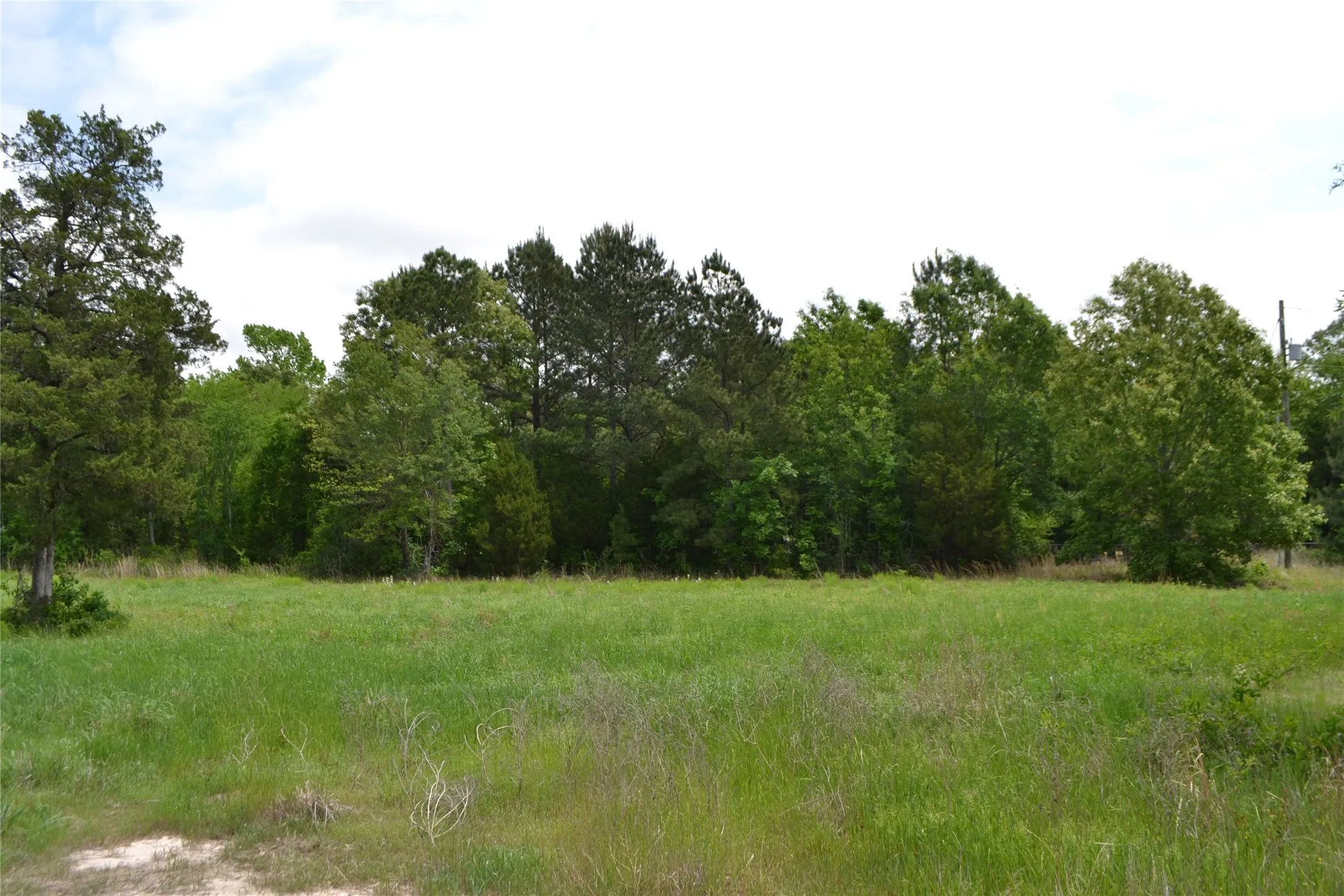 Unimproved Land For Sale in Wood County , TBD S HWY 69, Alba, Texas 75410, 0, 0, Garage spaces, 0 Sqft, built in 0, Price $159,500, mls#21351645, Real Estate Agent in Alba, Homes For Sale in Wood county, Homes For Sale in Alba, Realtor in Alba Texas, Real Estate Brokerage Independent Realty Texas, Luminita Cordes Realtor