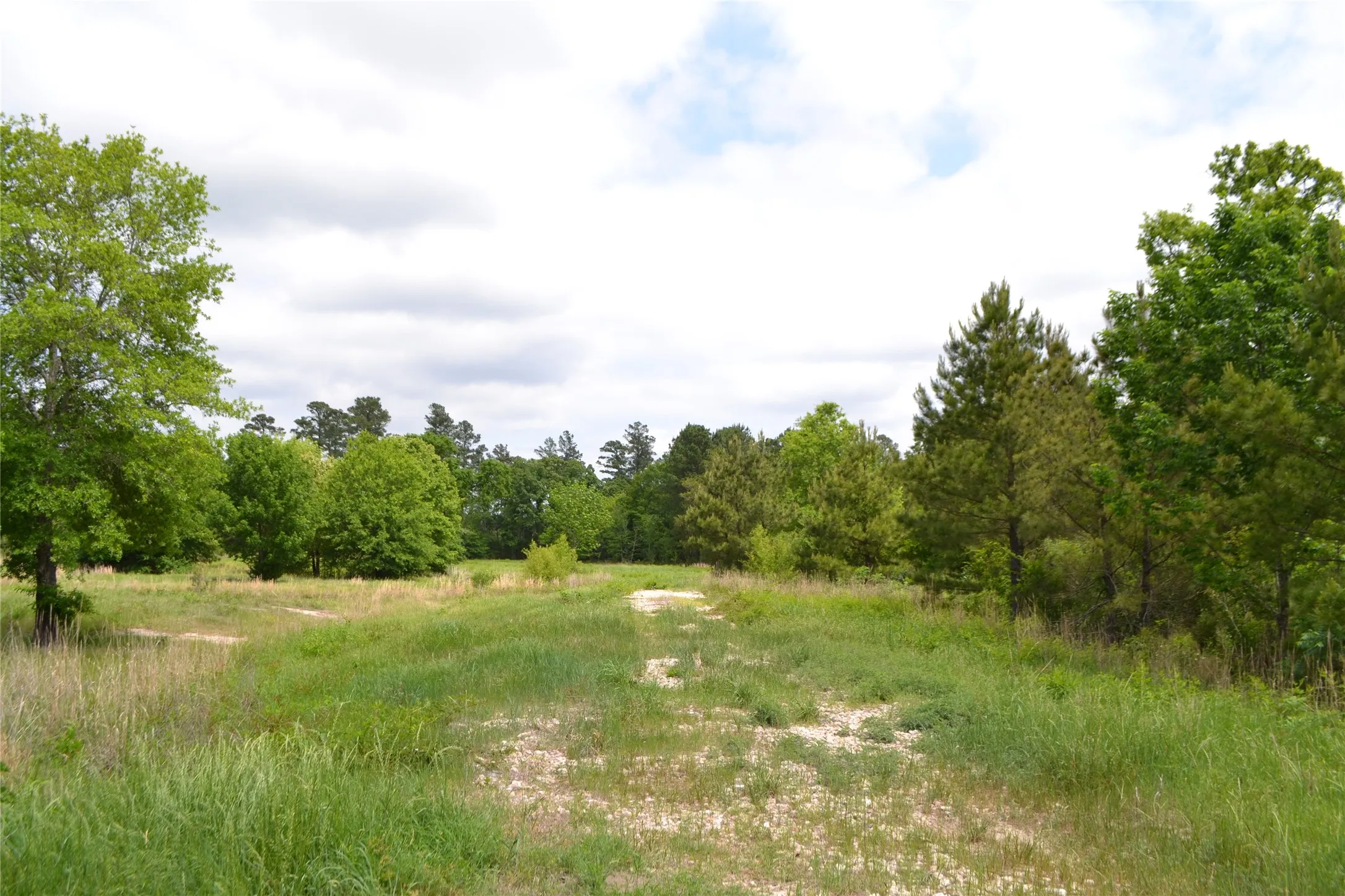 Unimproved Land For Sale in Wood County , TBD S HWY 69, Alba, Texas 75410, 0, 0, Garage spaces, 0 Sqft, built in 0, Price $159,500, mls#21351645, Real Estate Agent in Alba, Homes For Sale in Wood county, Homes For Sale in Alba, Realtor in Alba Texas, Real Estate Brokerage Independent Realty Texas, Luminita Cordes Realtor