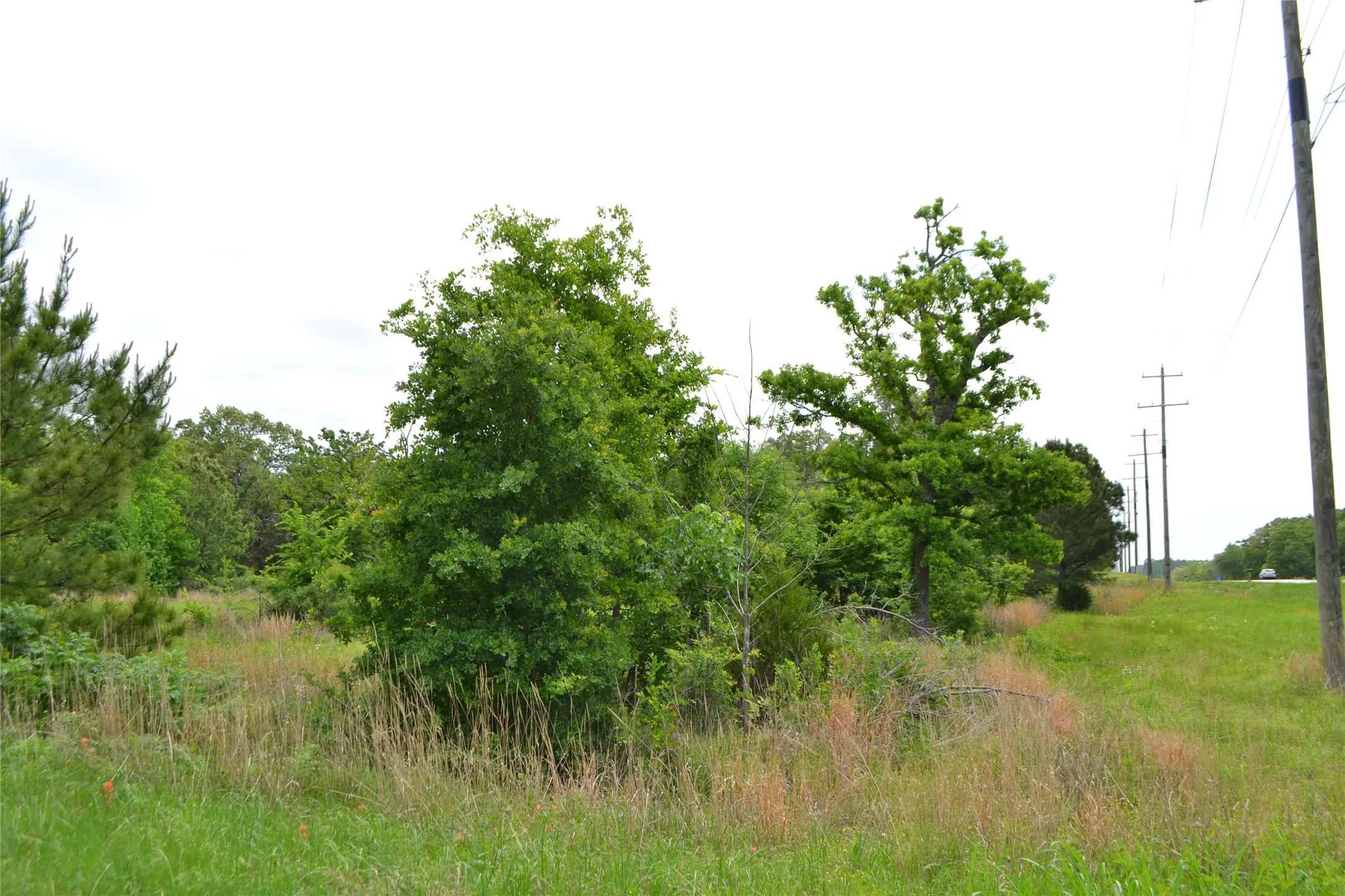 Unimproved Land For Sale in Wood County , TBD S HWY 69, Alba, Texas 75410, 0, 0, Garage spaces, 0 Sqft, built in 0, Price $159,500, mls#21351645, Real Estate Agent in Alba, Homes For Sale in Wood county, Homes For Sale in Alba, Realtor in Alba Texas, Real Estate Brokerage Independent Realty Texas, Luminita Cordes Realtor